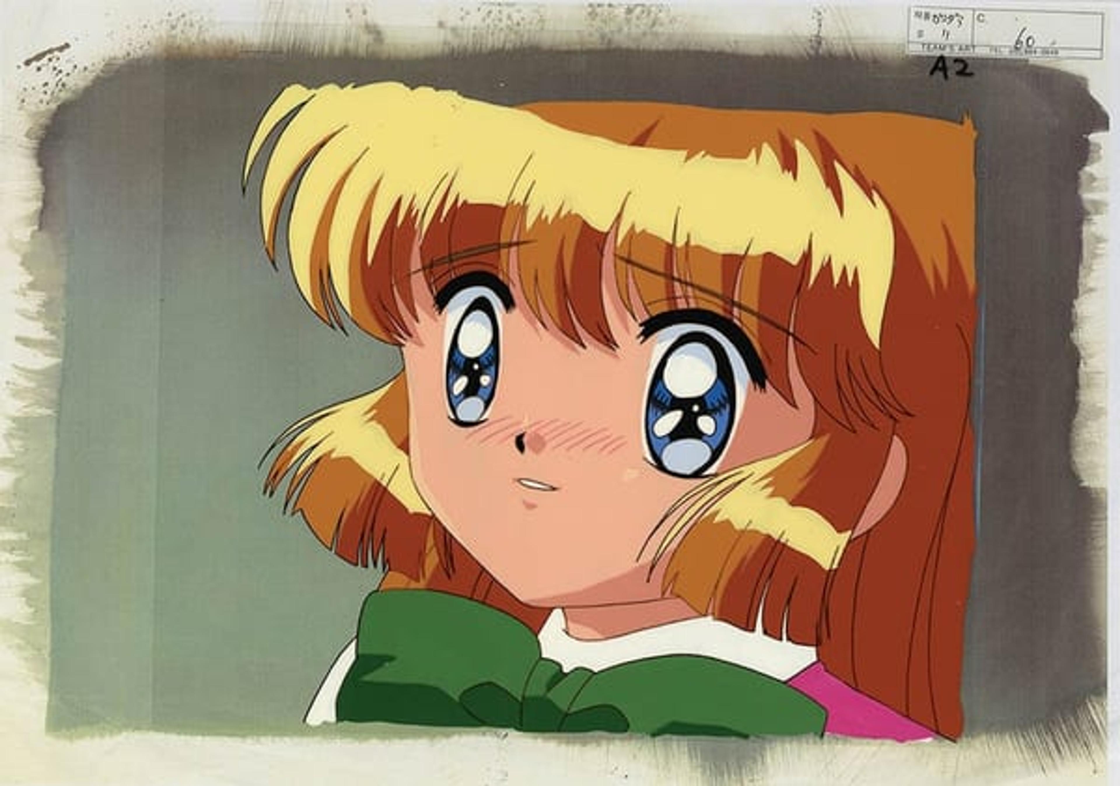 Mysterious Thief Saint Tail