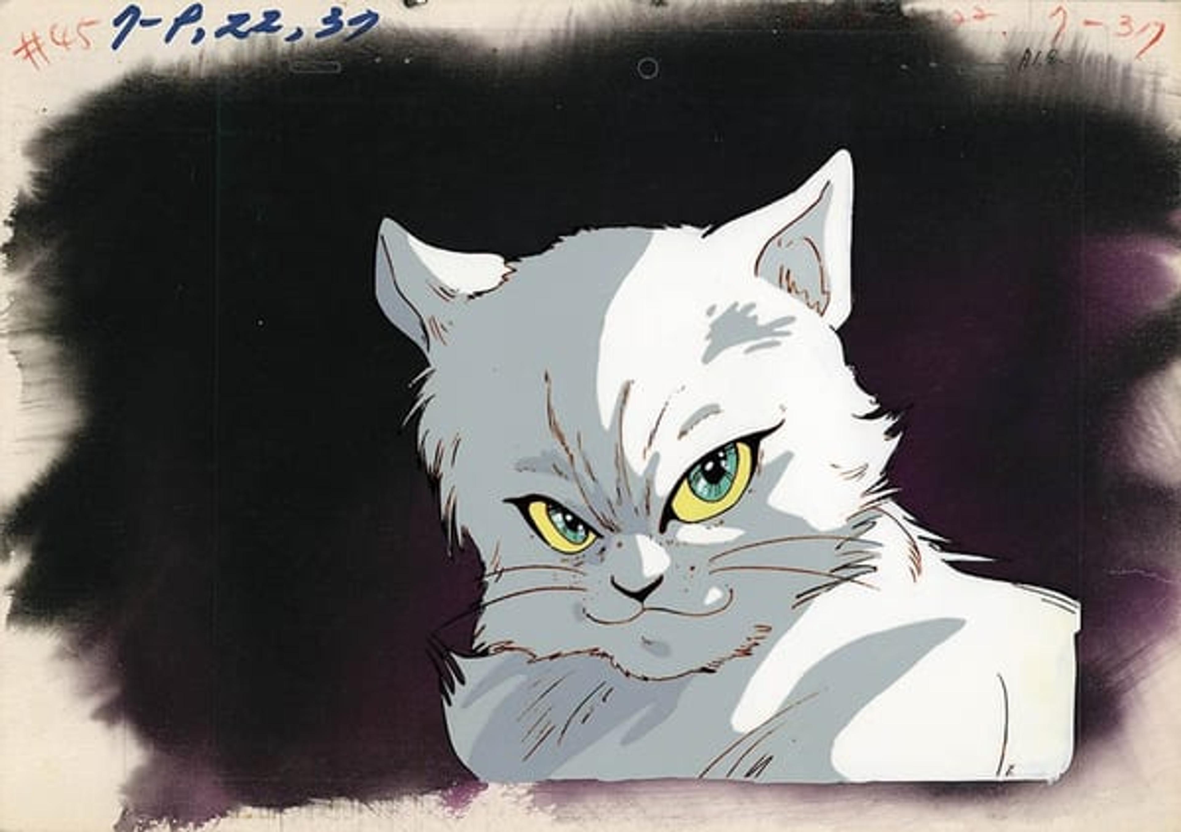 Video Warrior Laserion