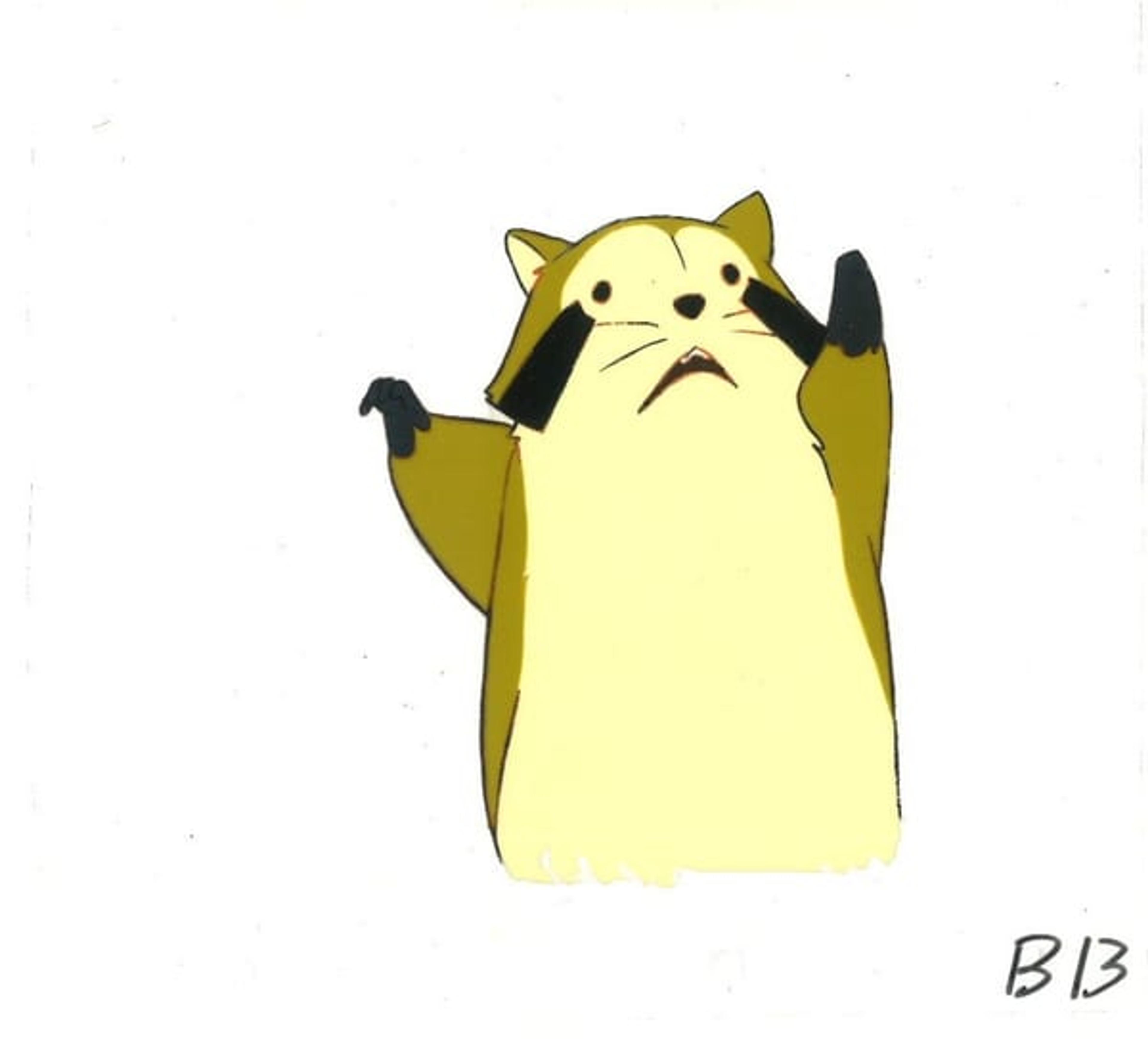Raccoon Rascal