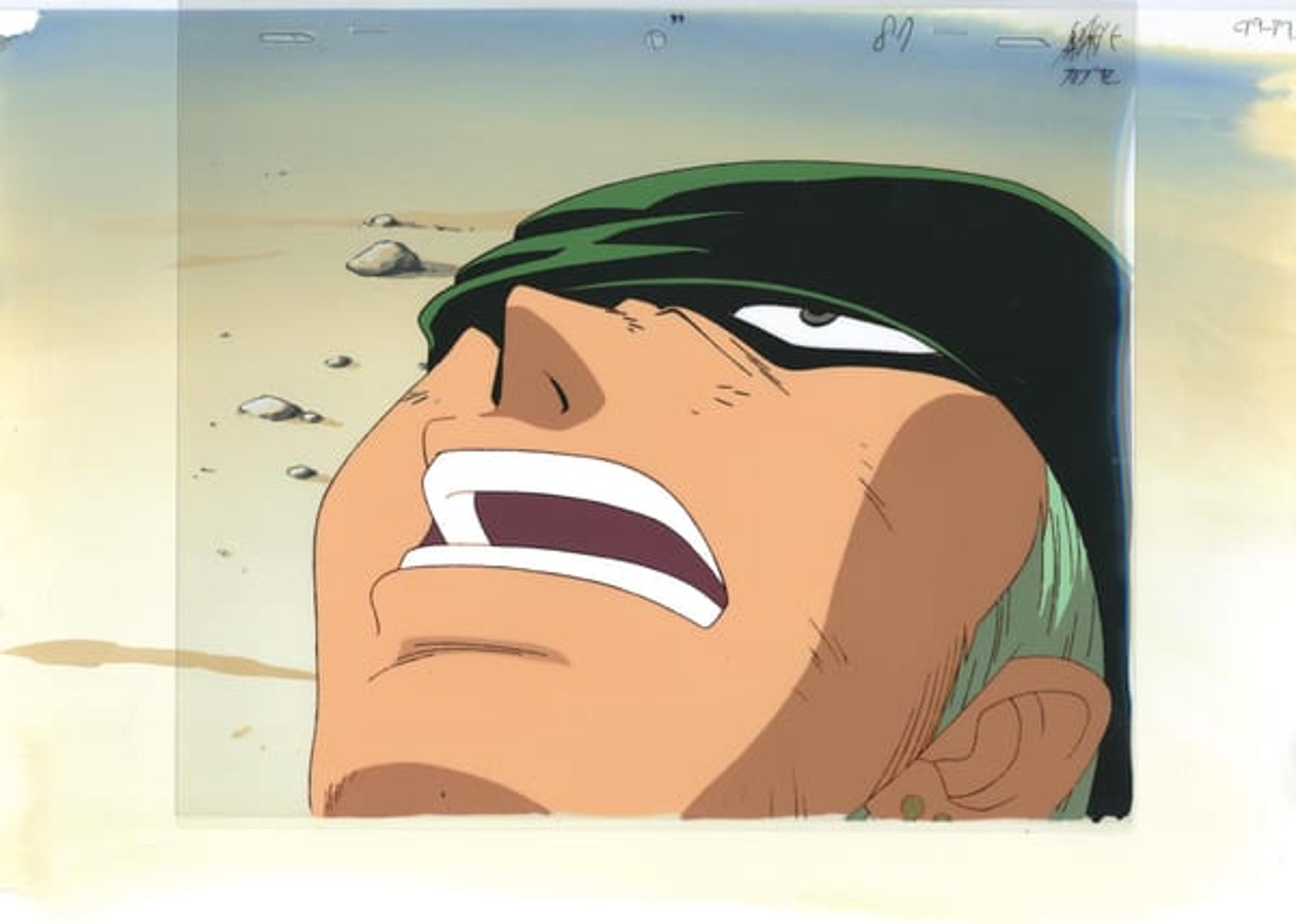 ONE PIECE: The Movie