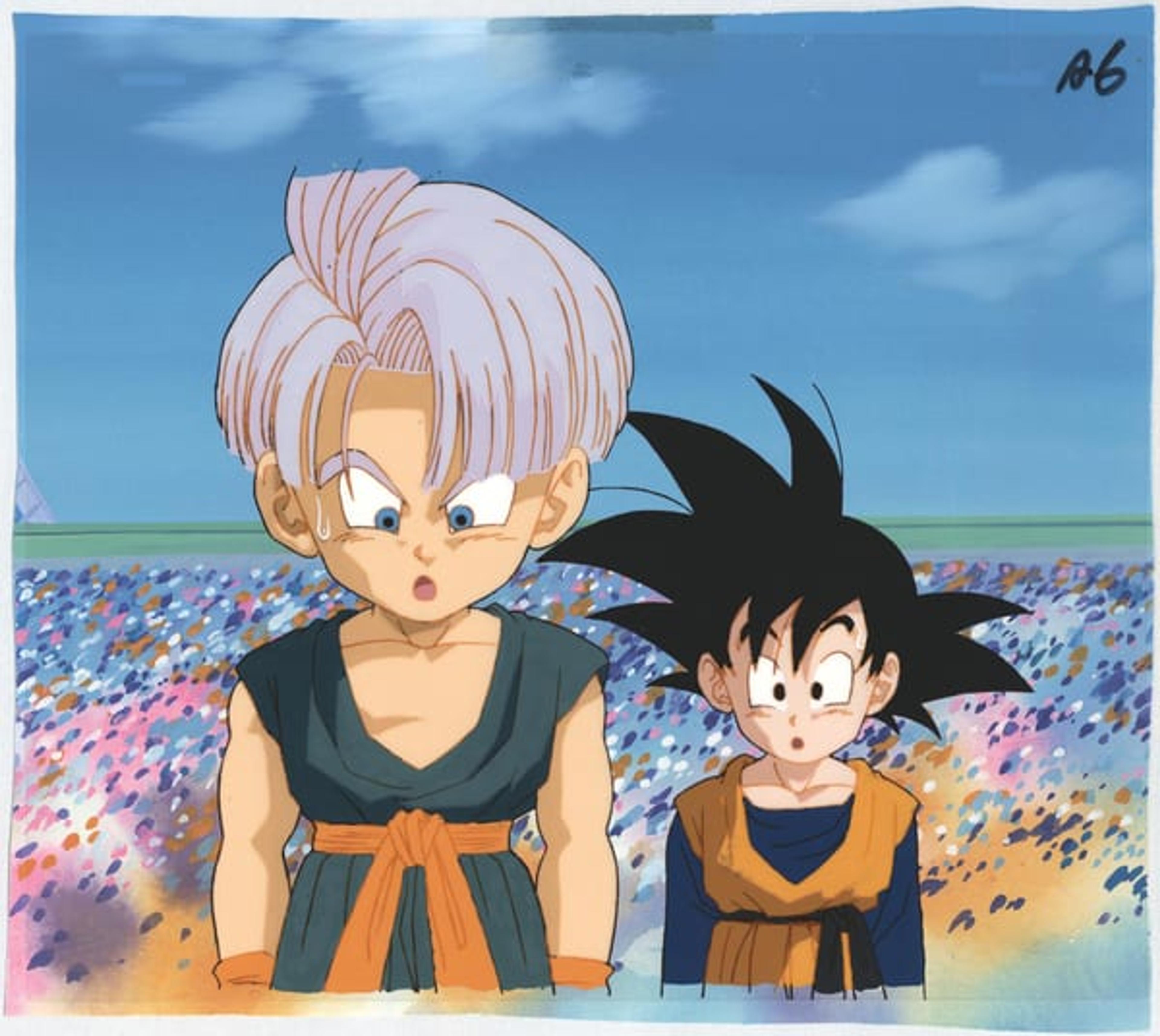 Dragon Ball Z