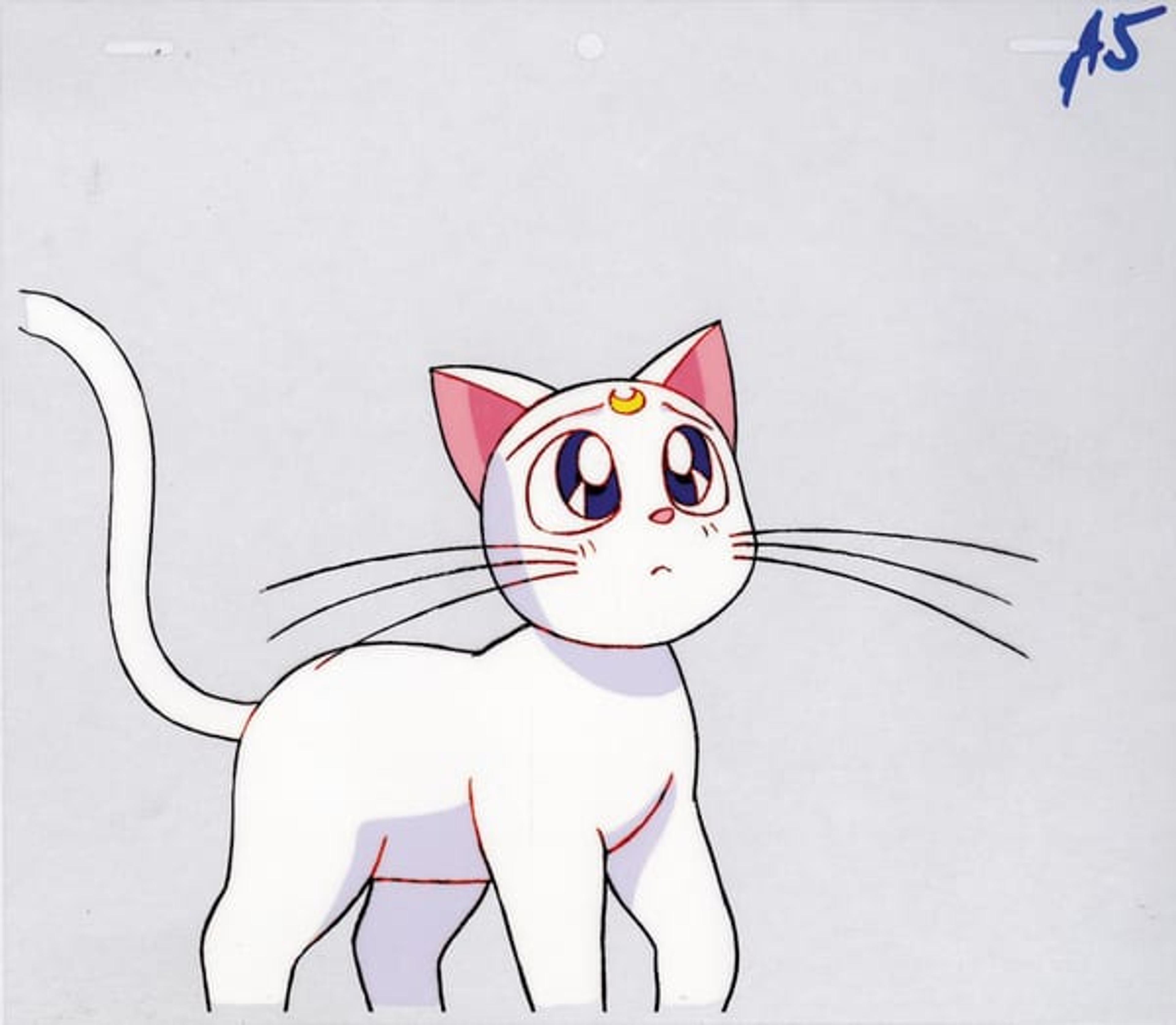 Sailor Moon