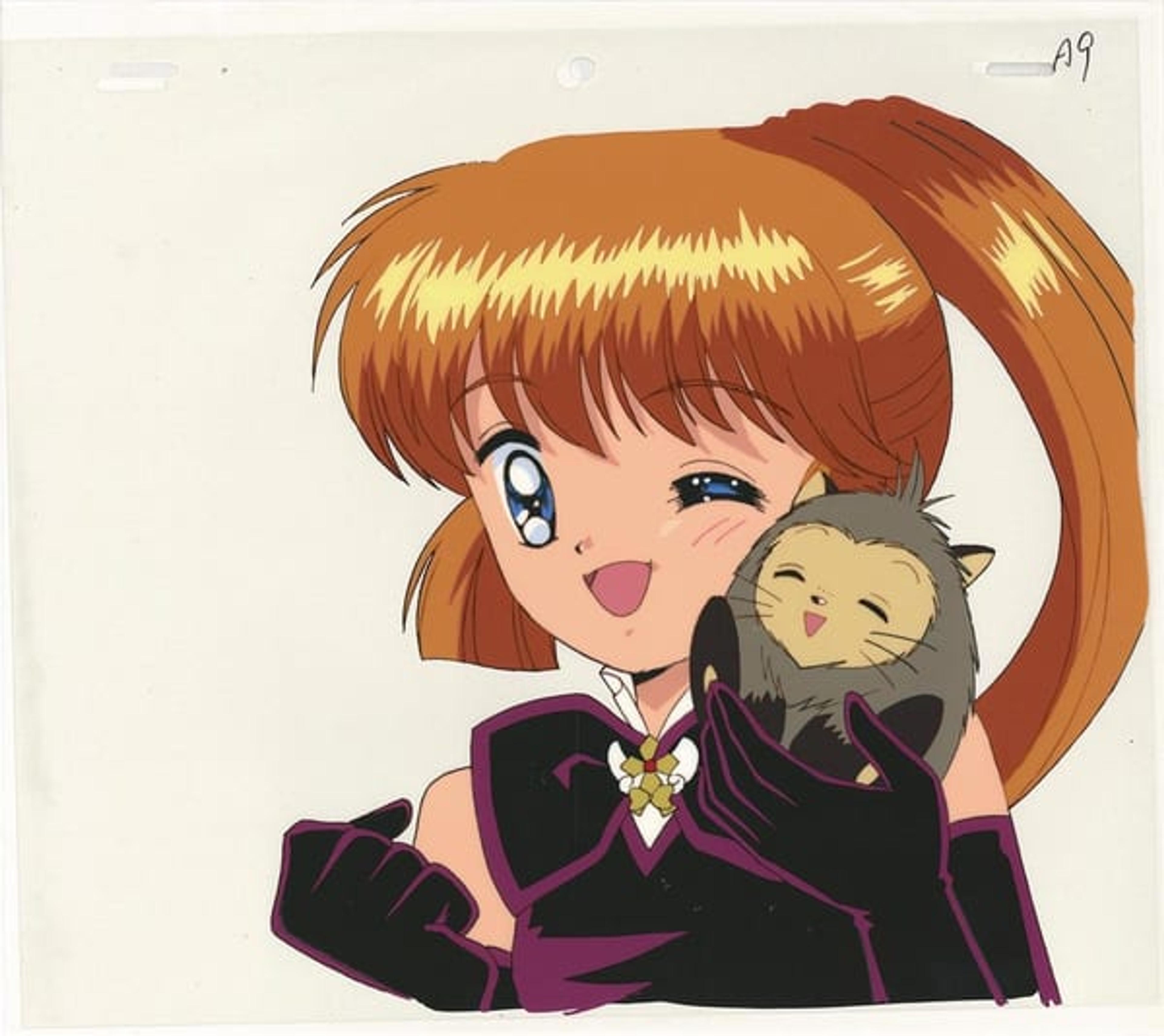 Mysterious Thief Saint Tail