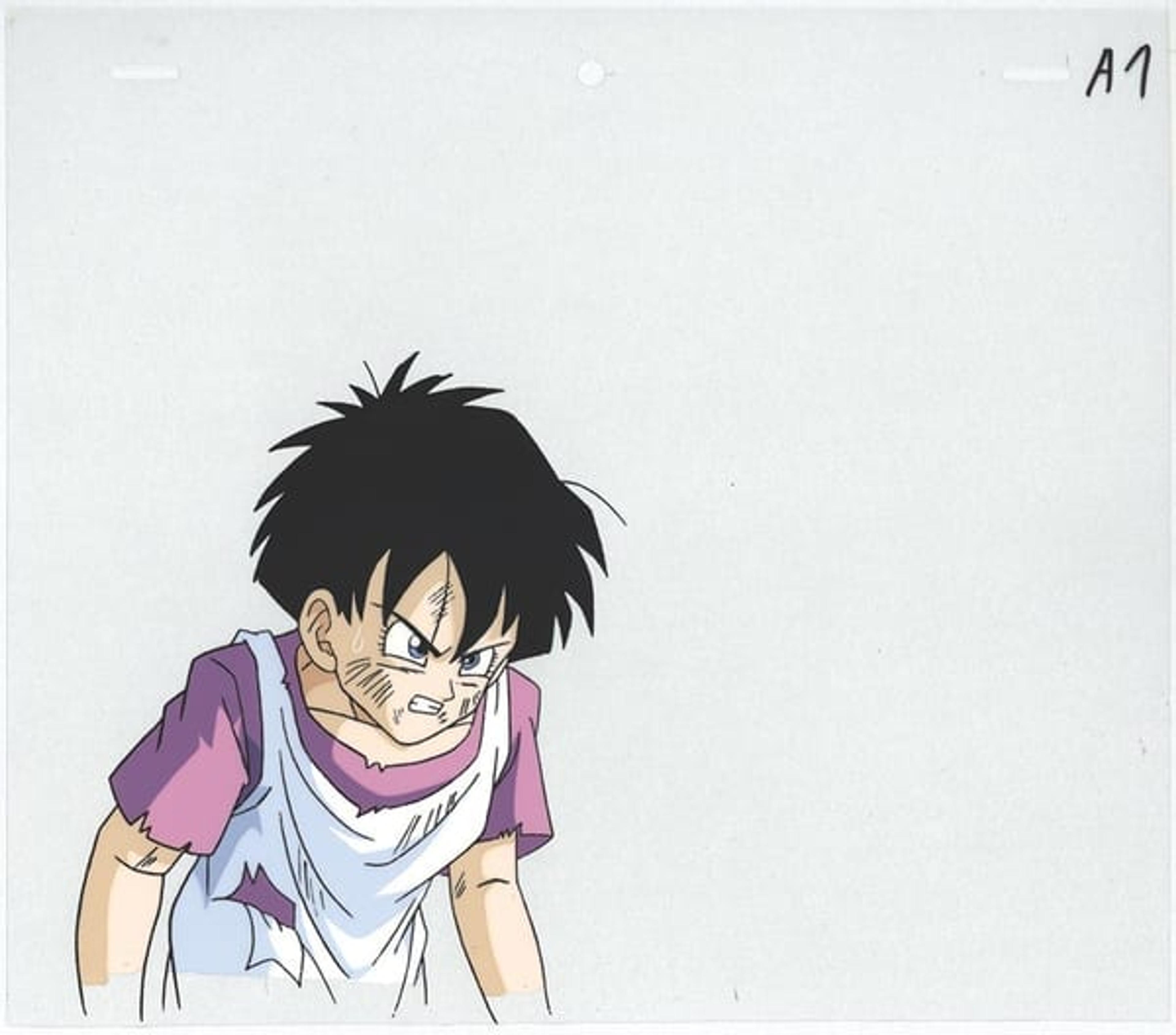 Dragon Ball Z