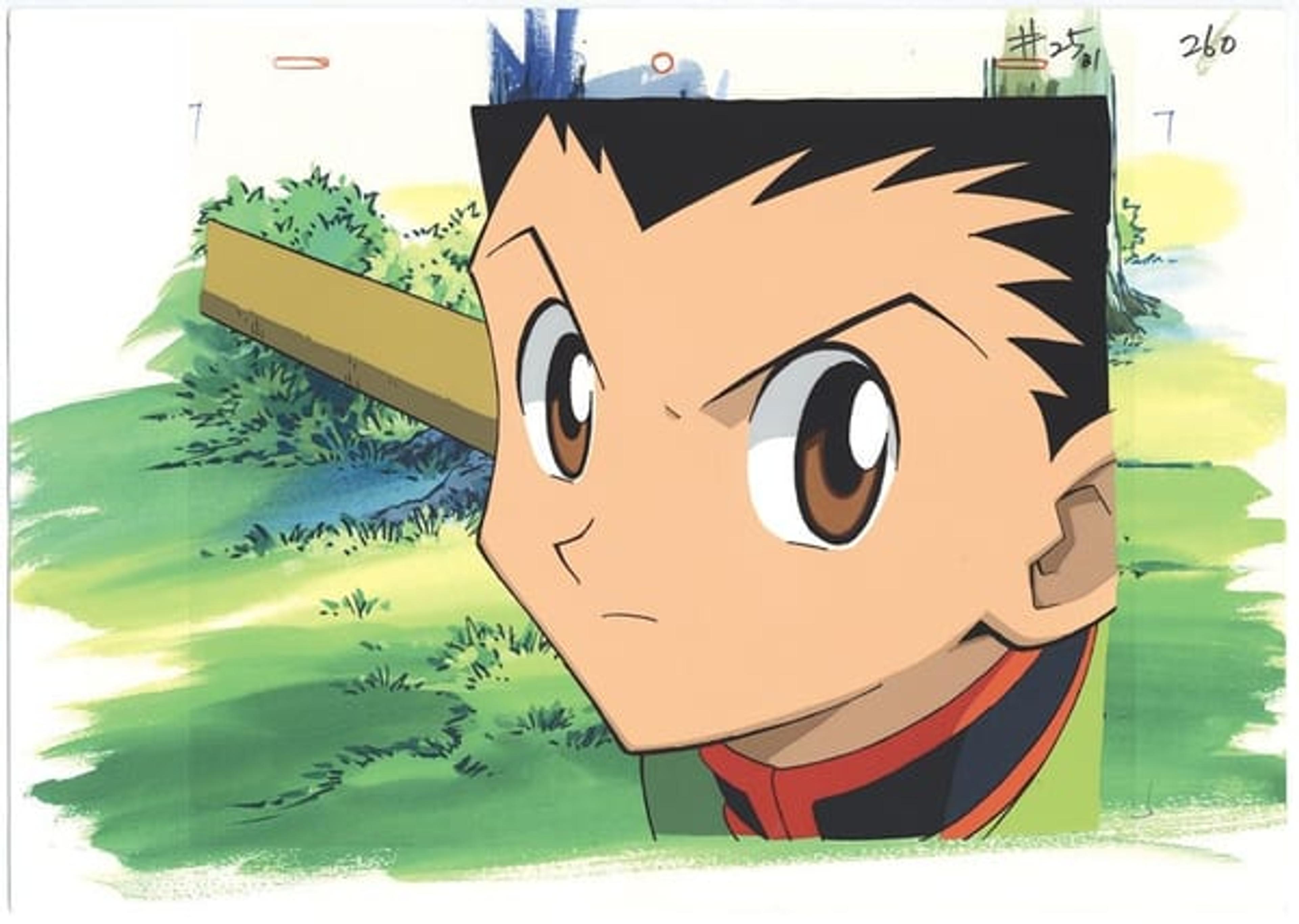 Hunter x Hunter