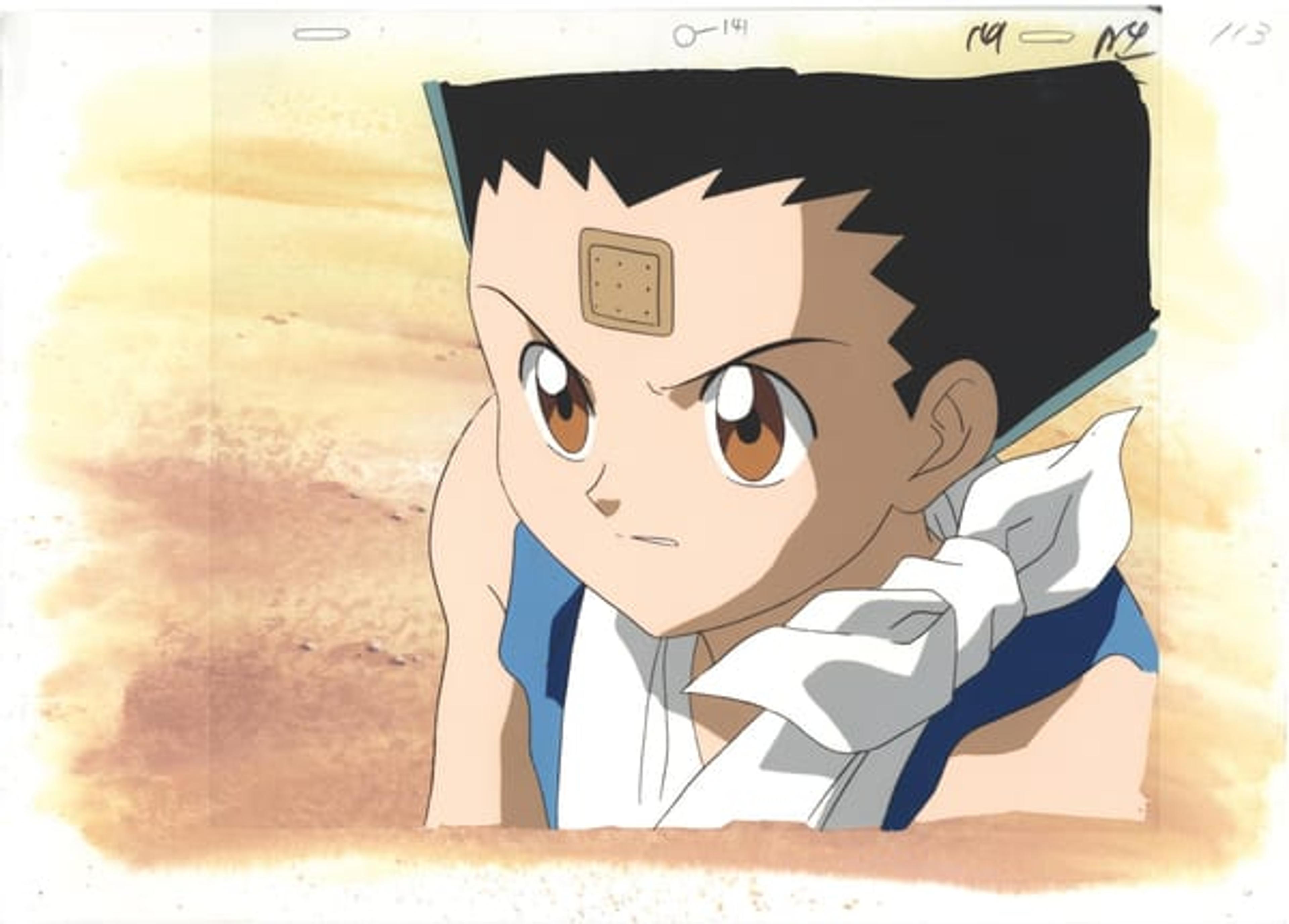 Hunter x Hunter