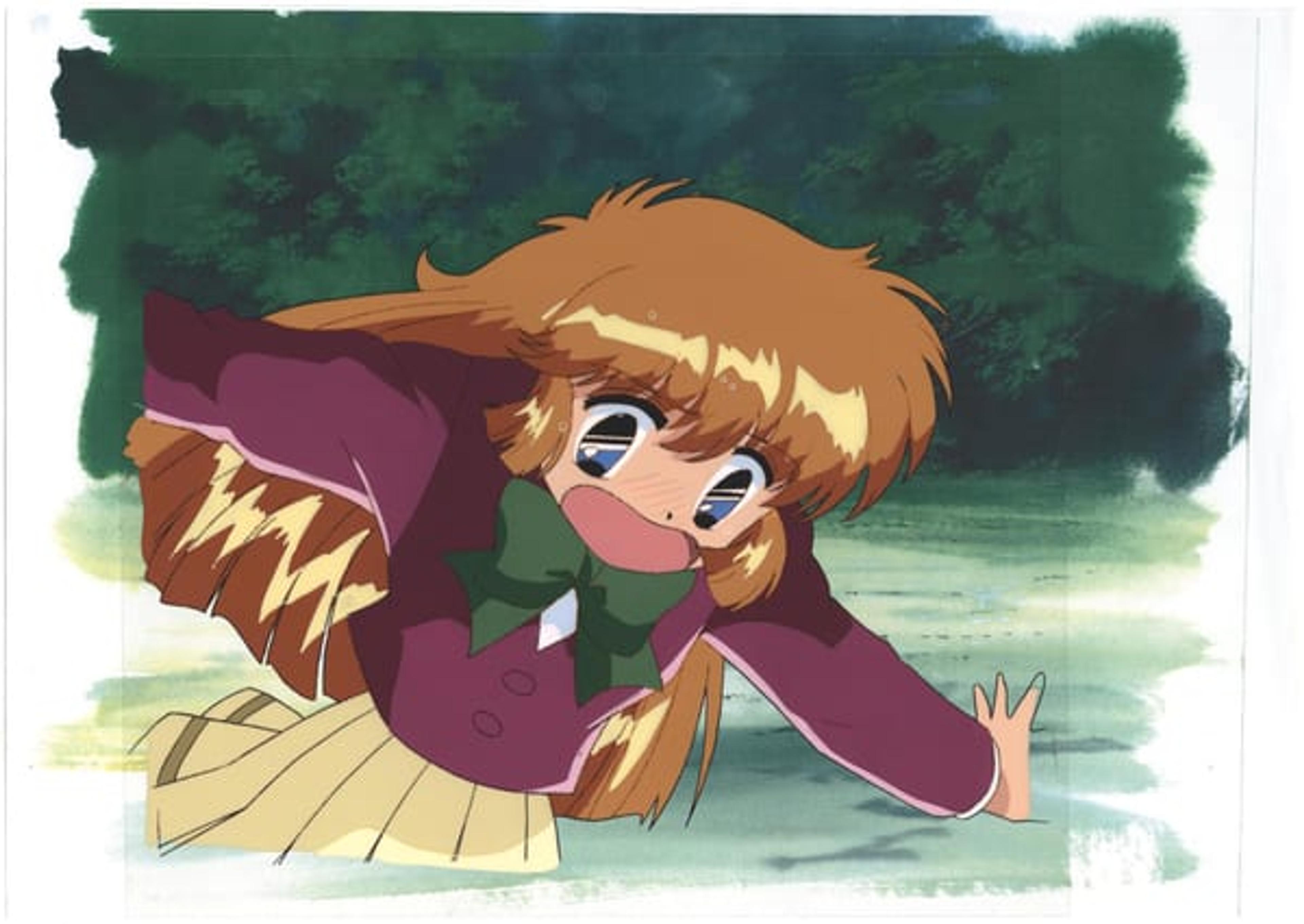 Mysterious Thief Saint Tail