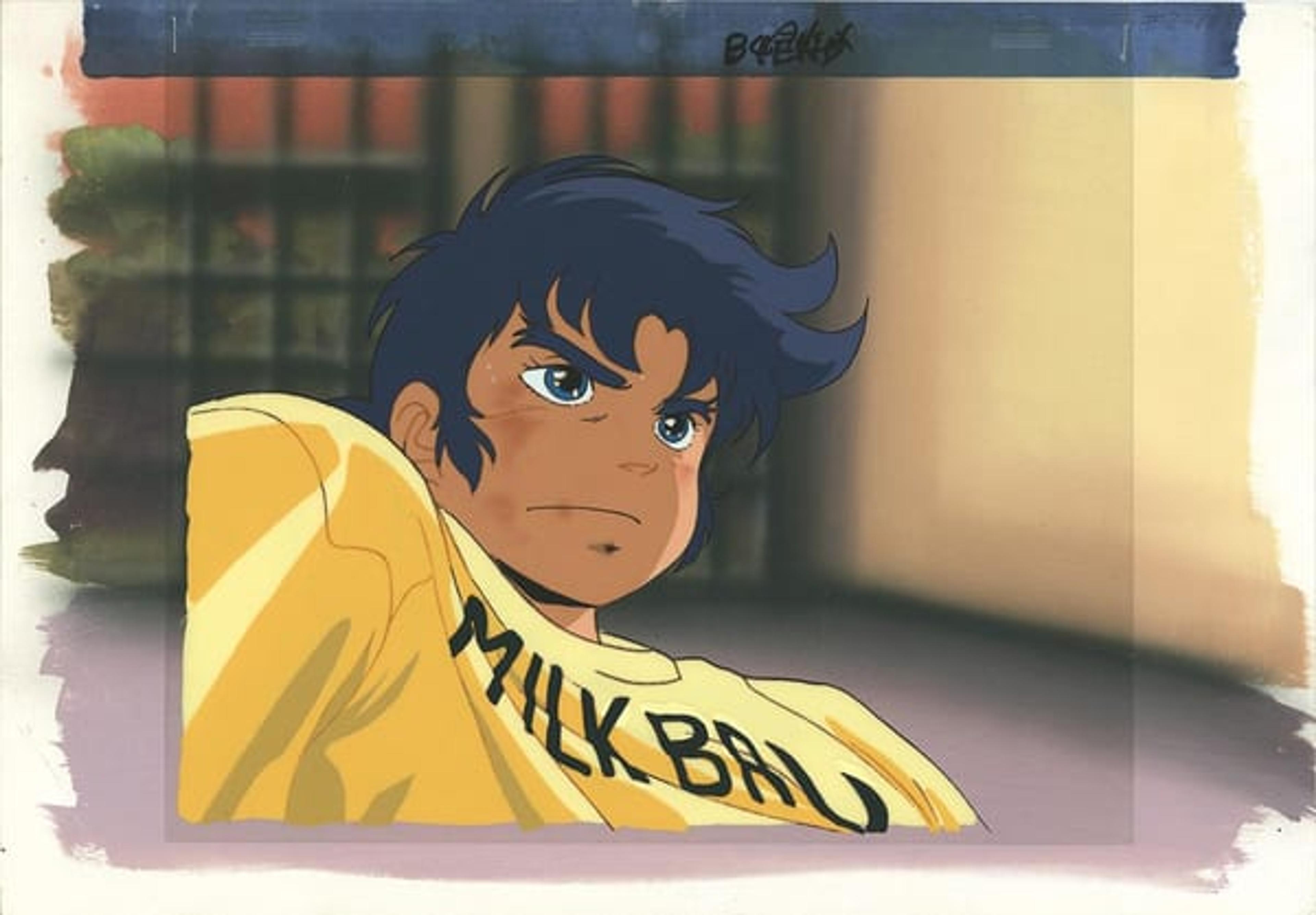 Ronin Warriors