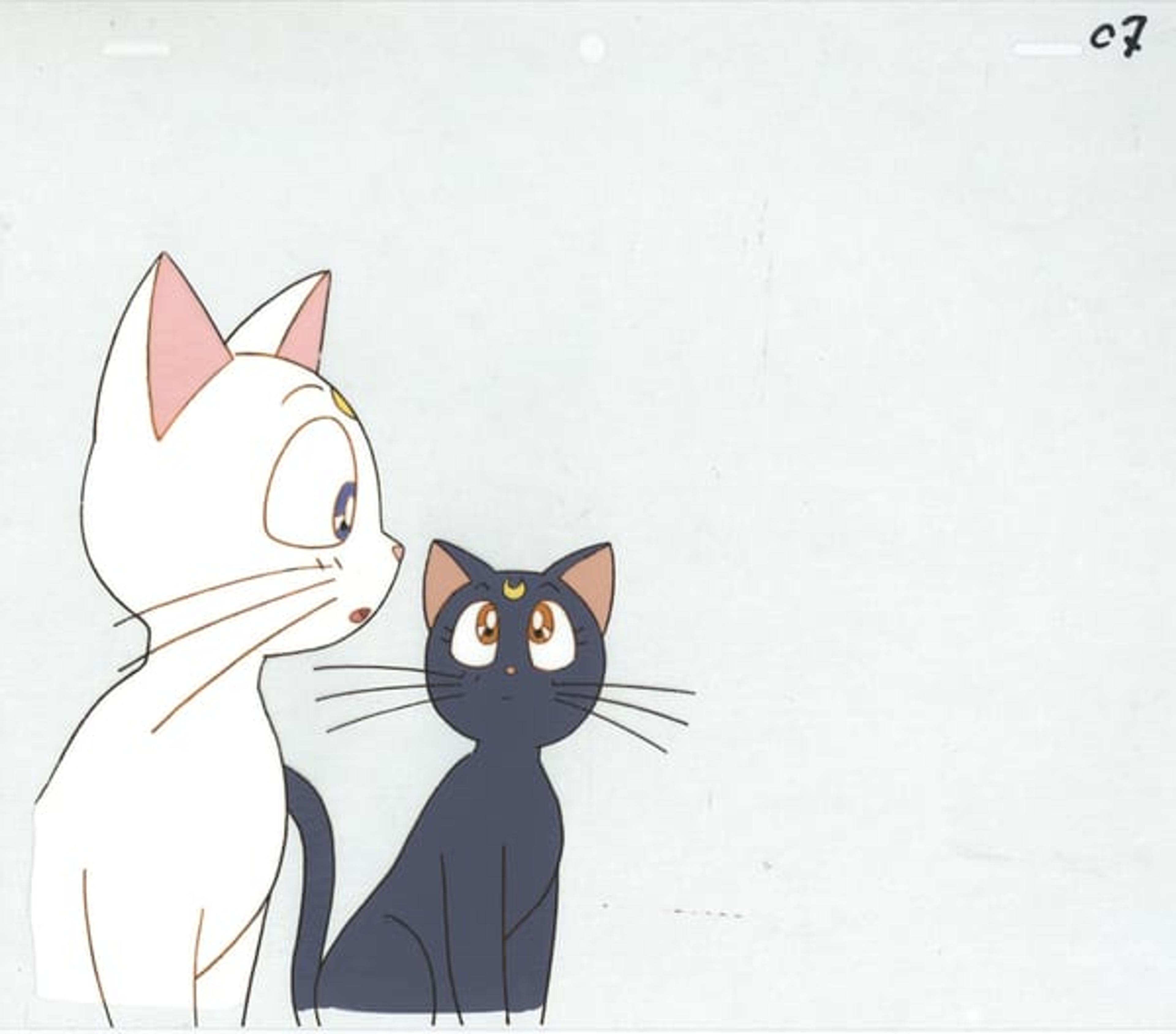 Sailor Moon