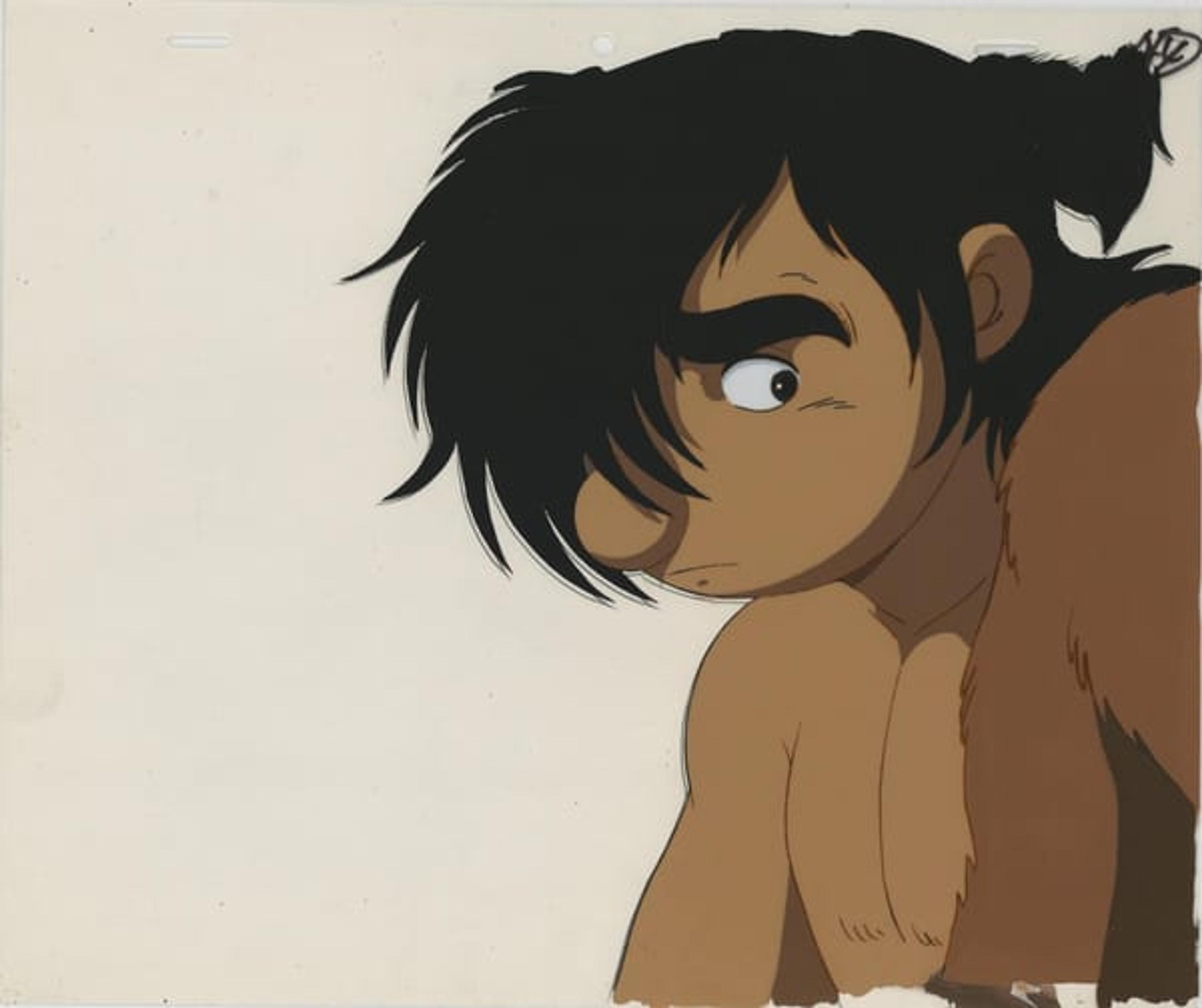 Phoenix Phoenix Edition cel