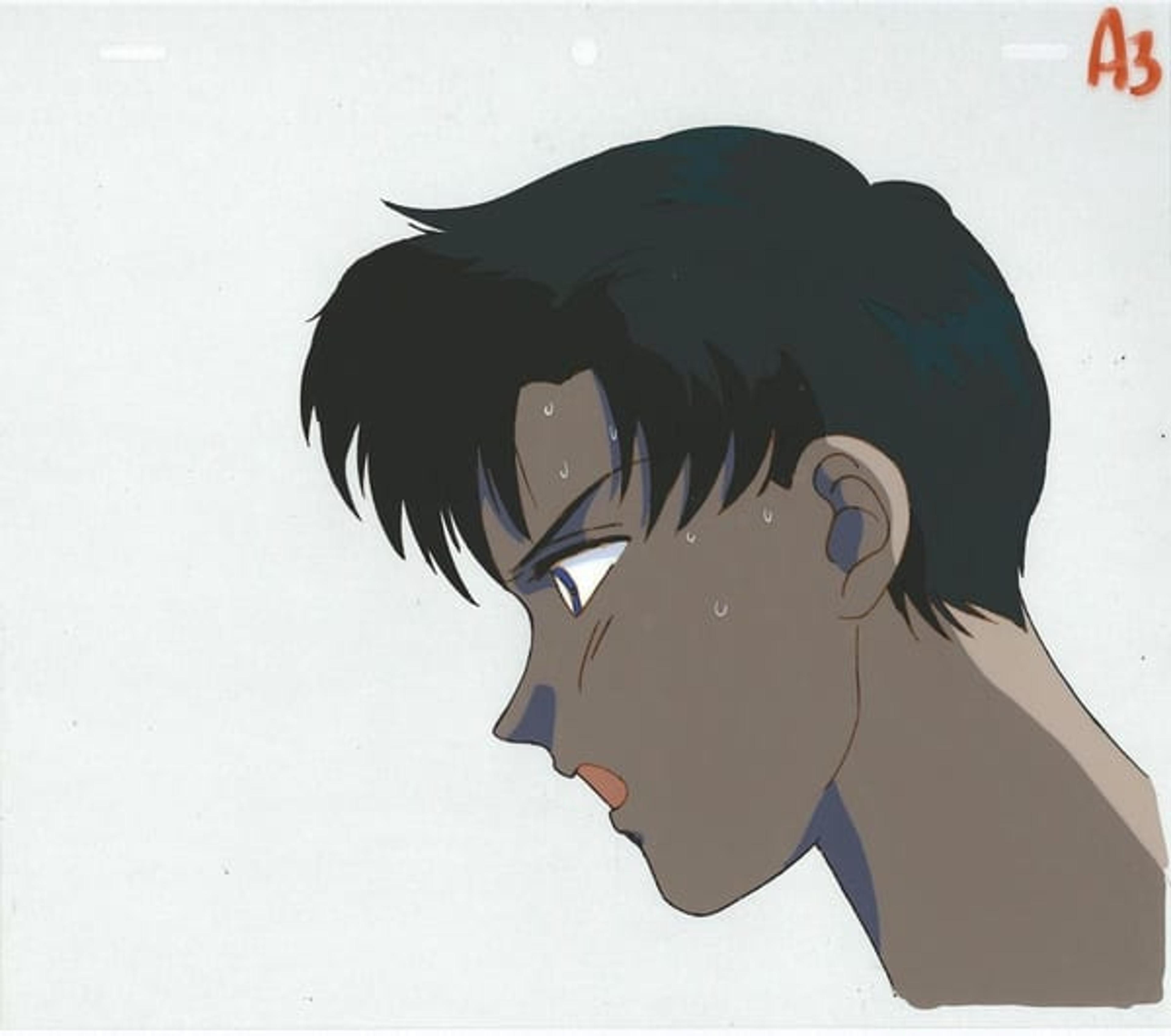 Sailor Moon
