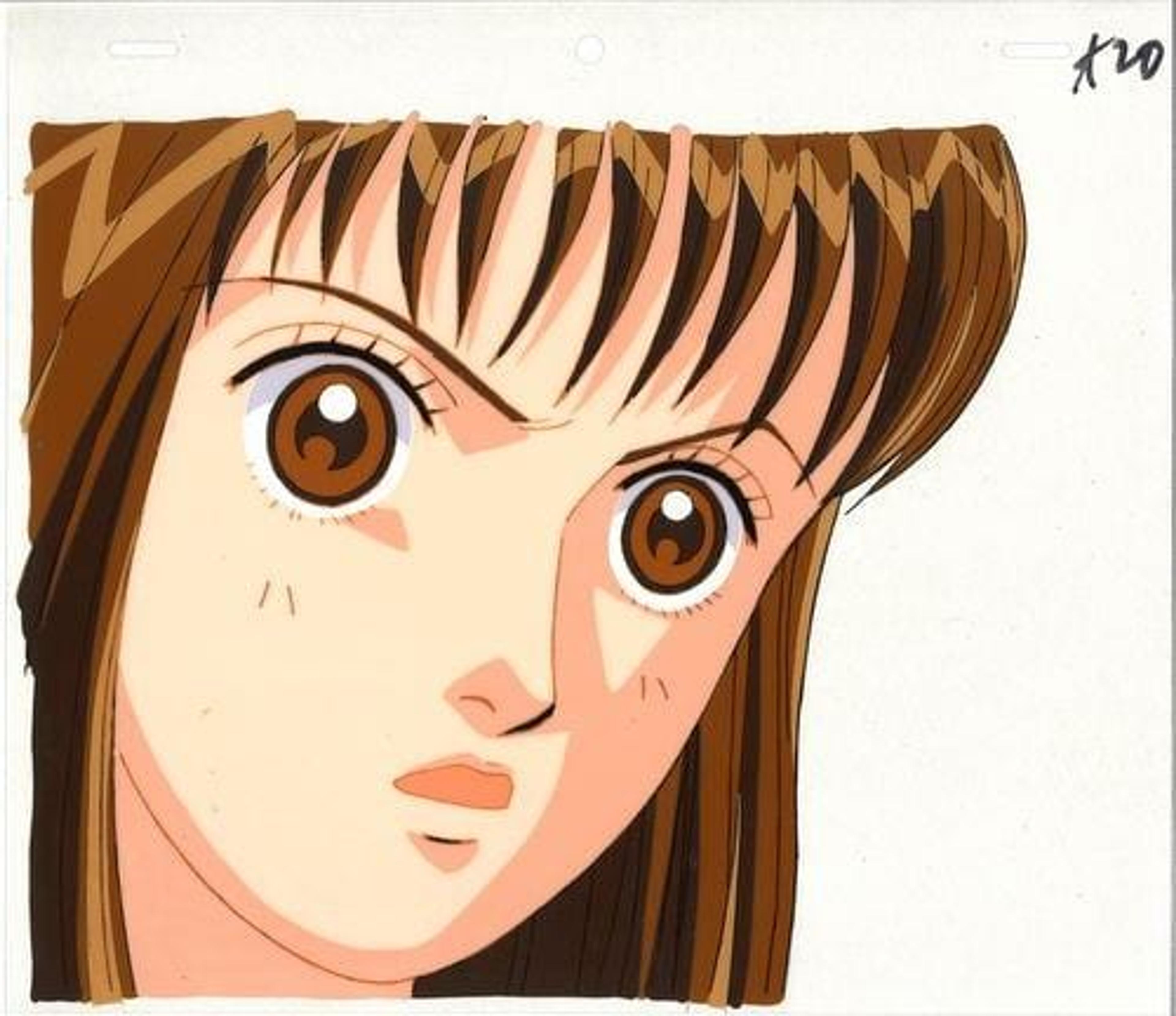 Hana Yori Dango (Boys Over Flowers)
