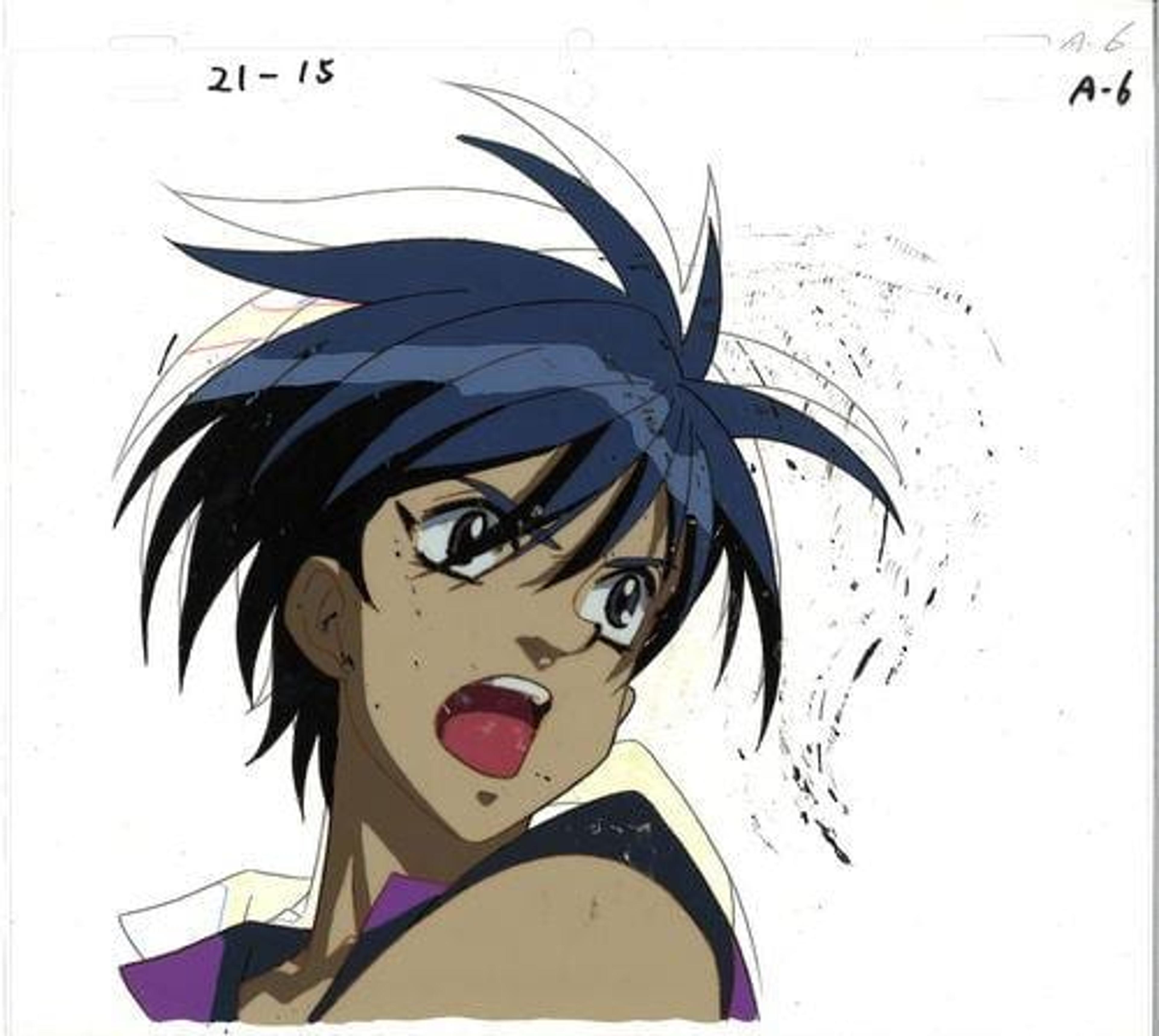 Vision of Escaflowne