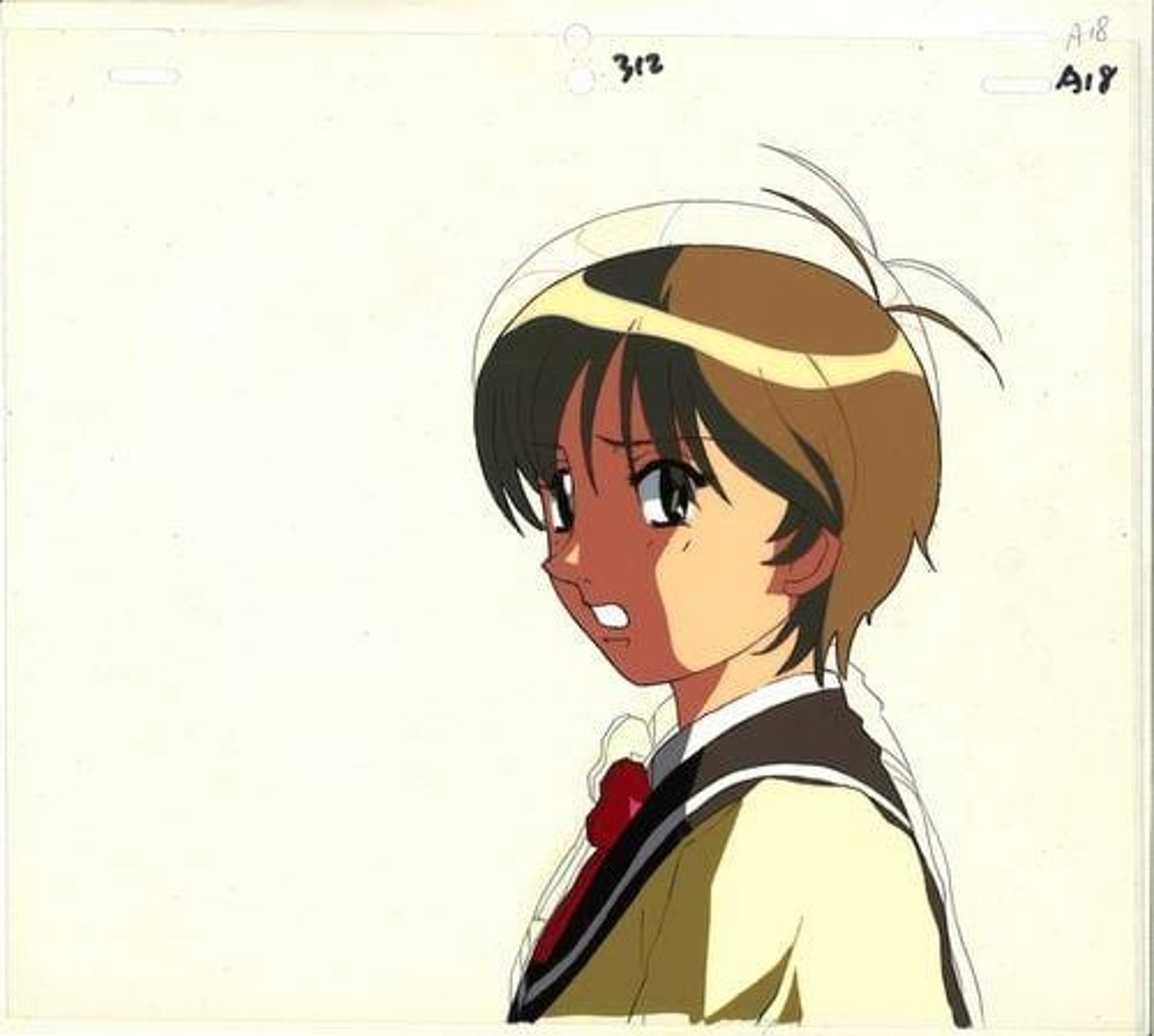 Vision of Escaflowne