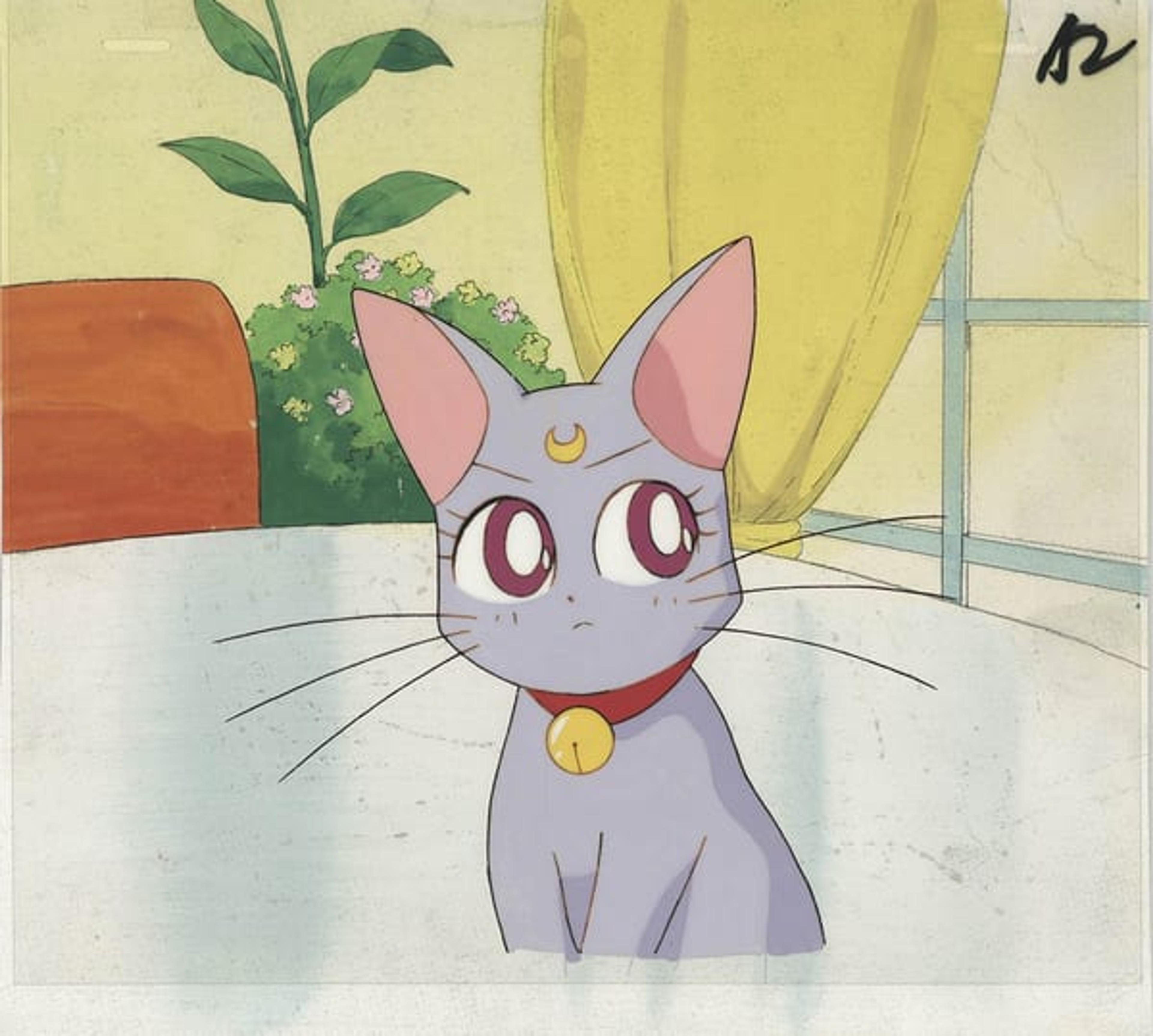 Sailor Moon