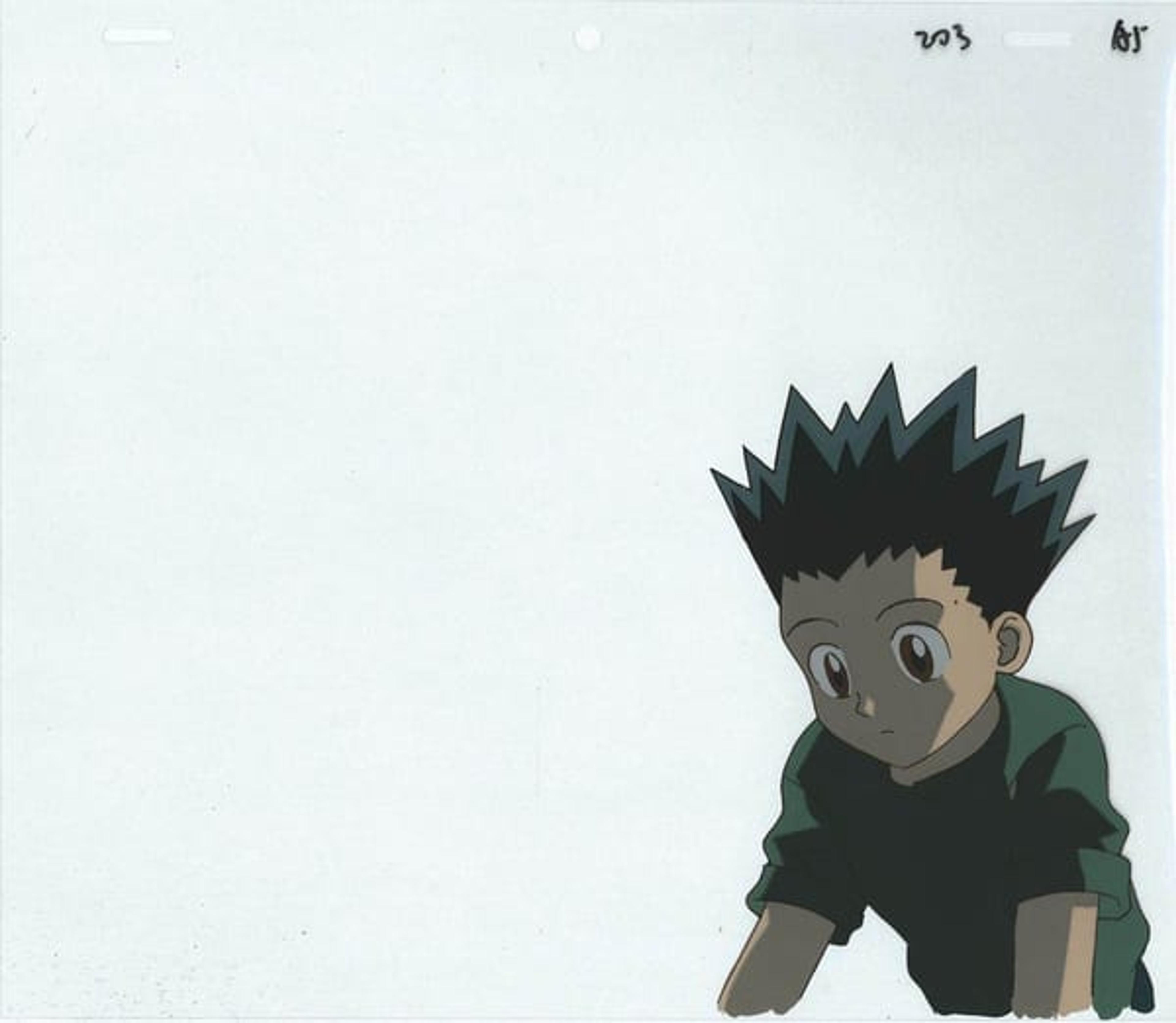 Hunter x Hunter
