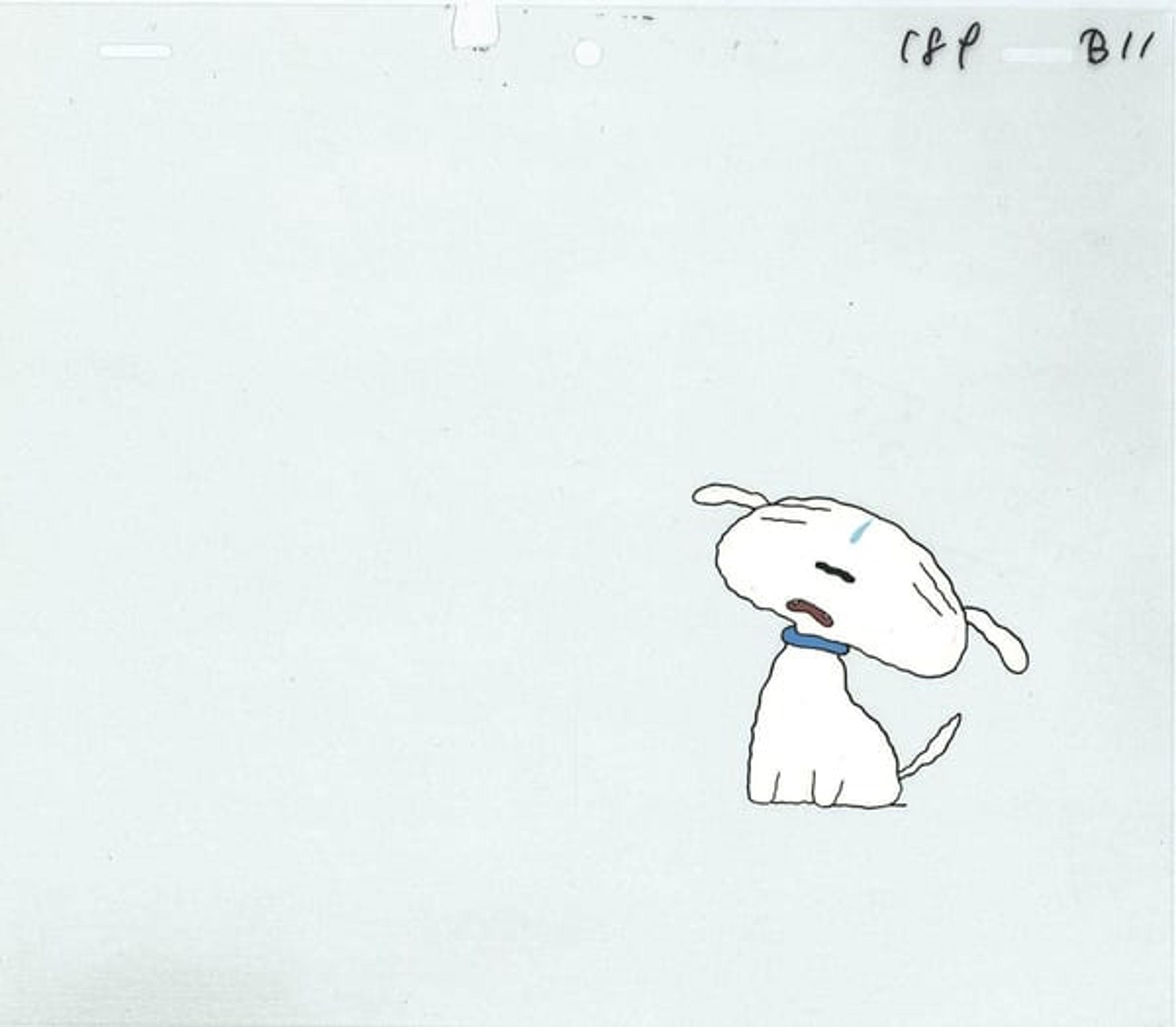 Shin Chan