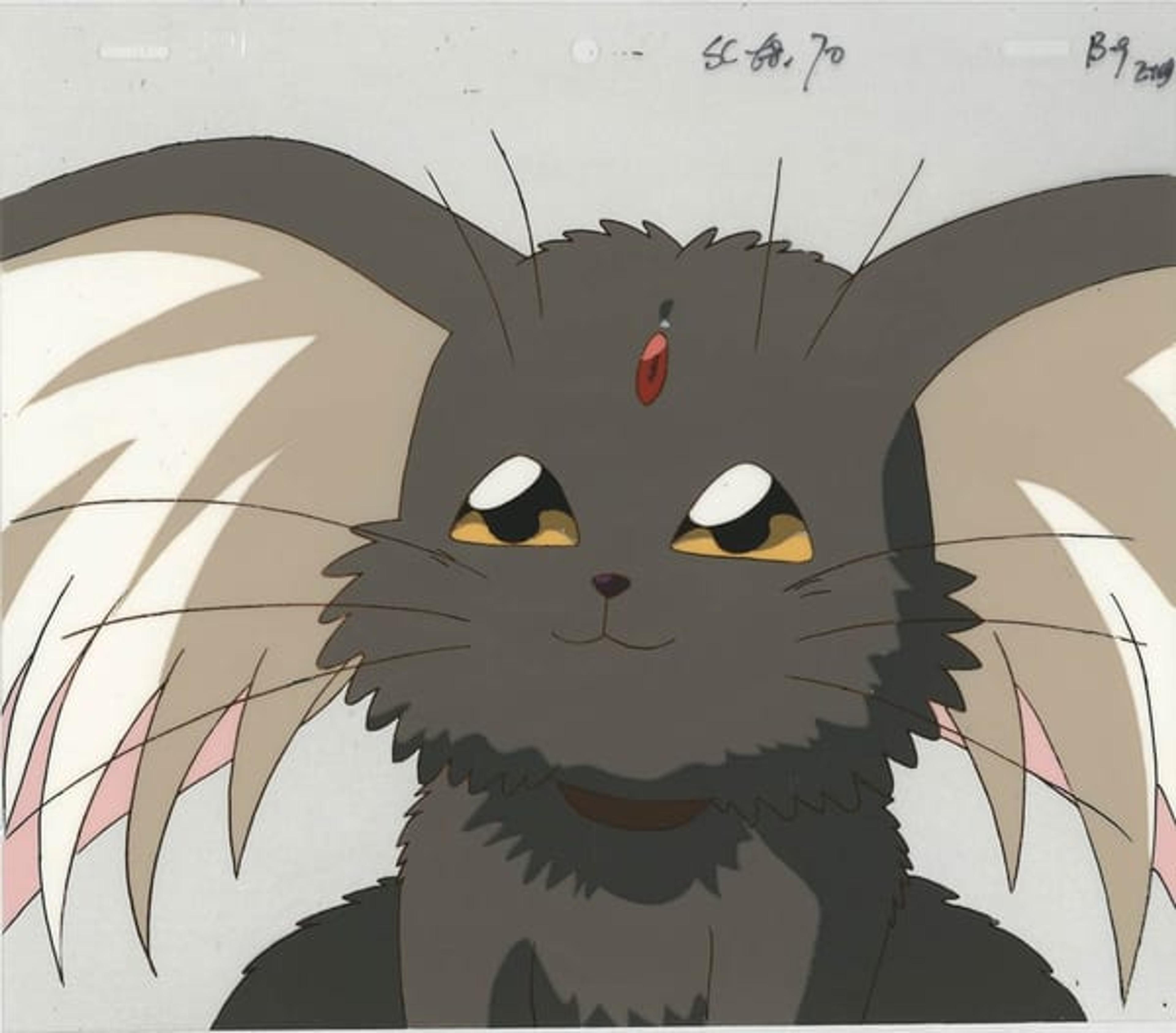 Tenchi Muyo! cel