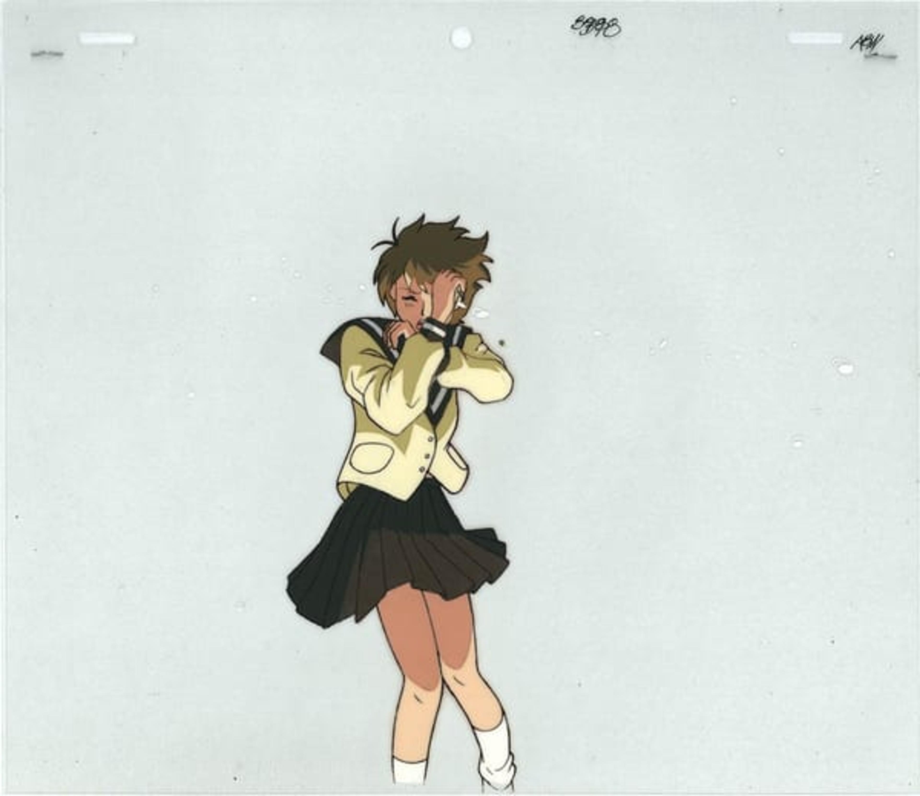 Escaflowne: A Girl in Gaea