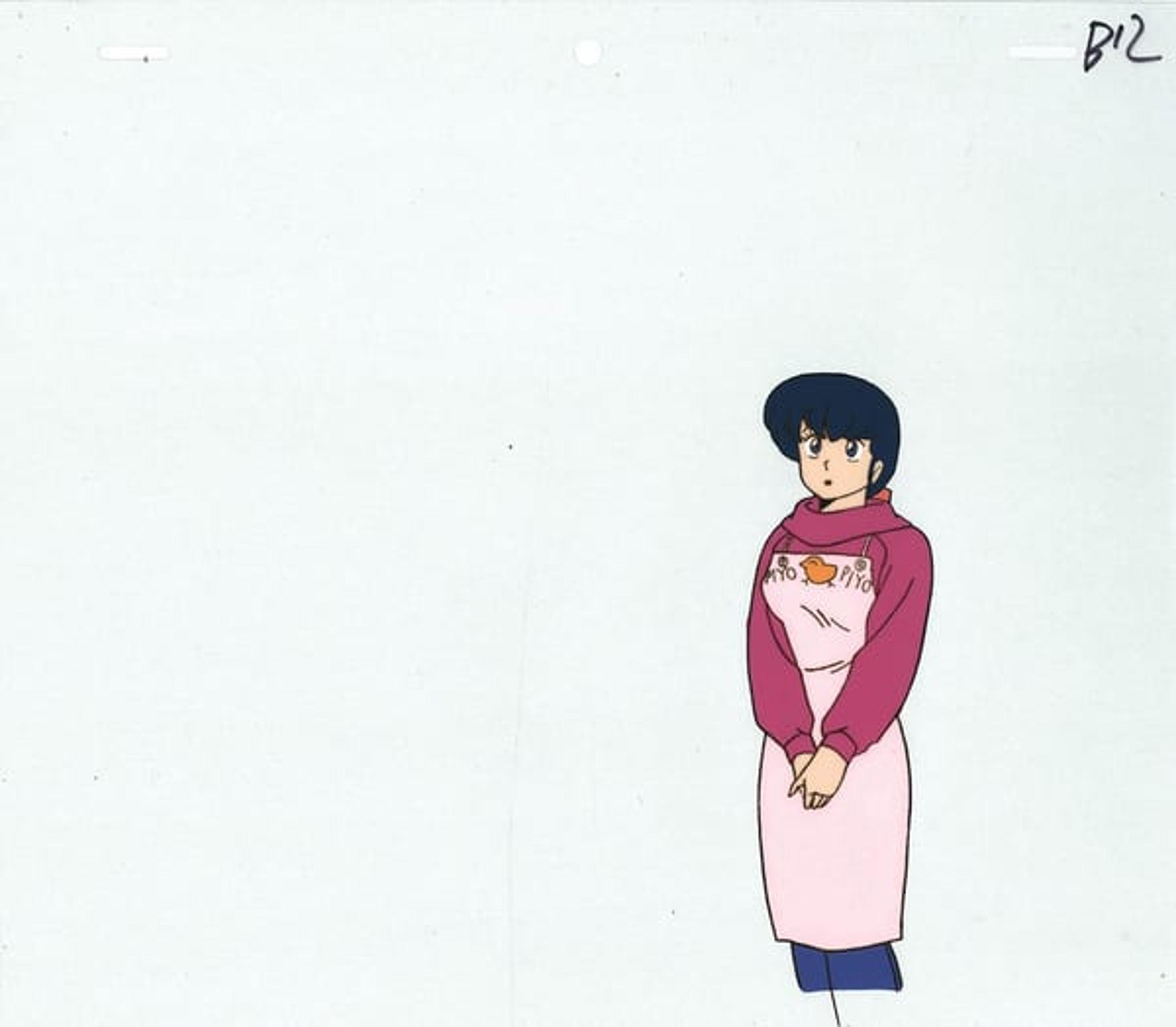 Maison Ikkoku