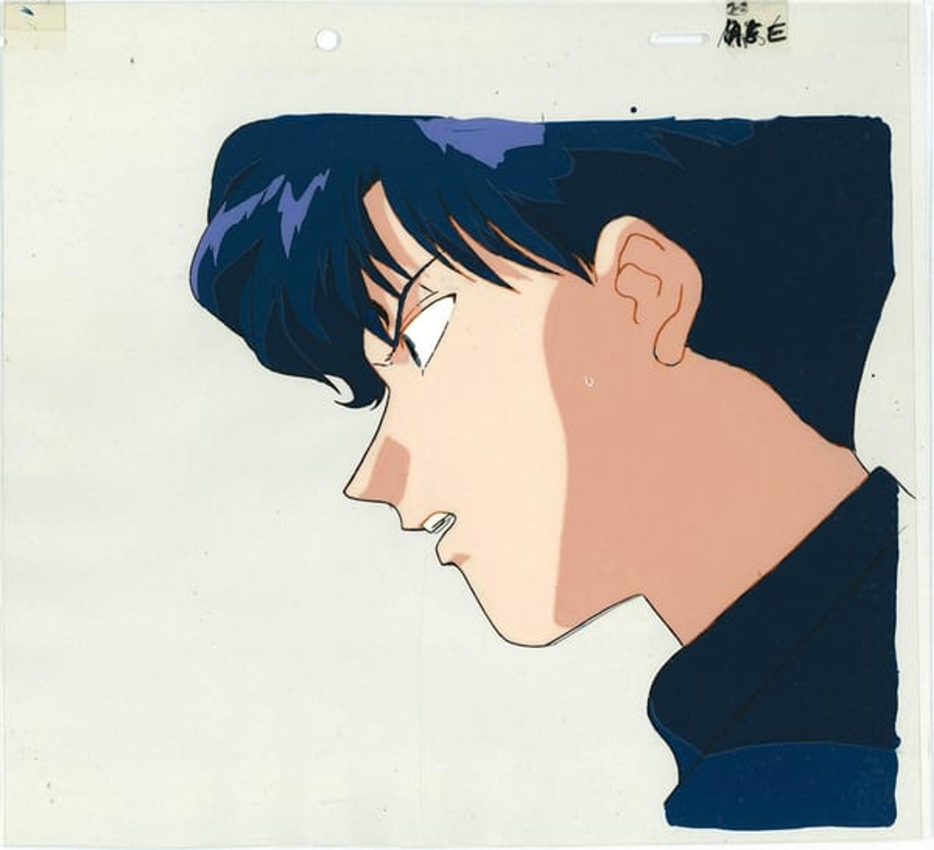 Sailor Moon R