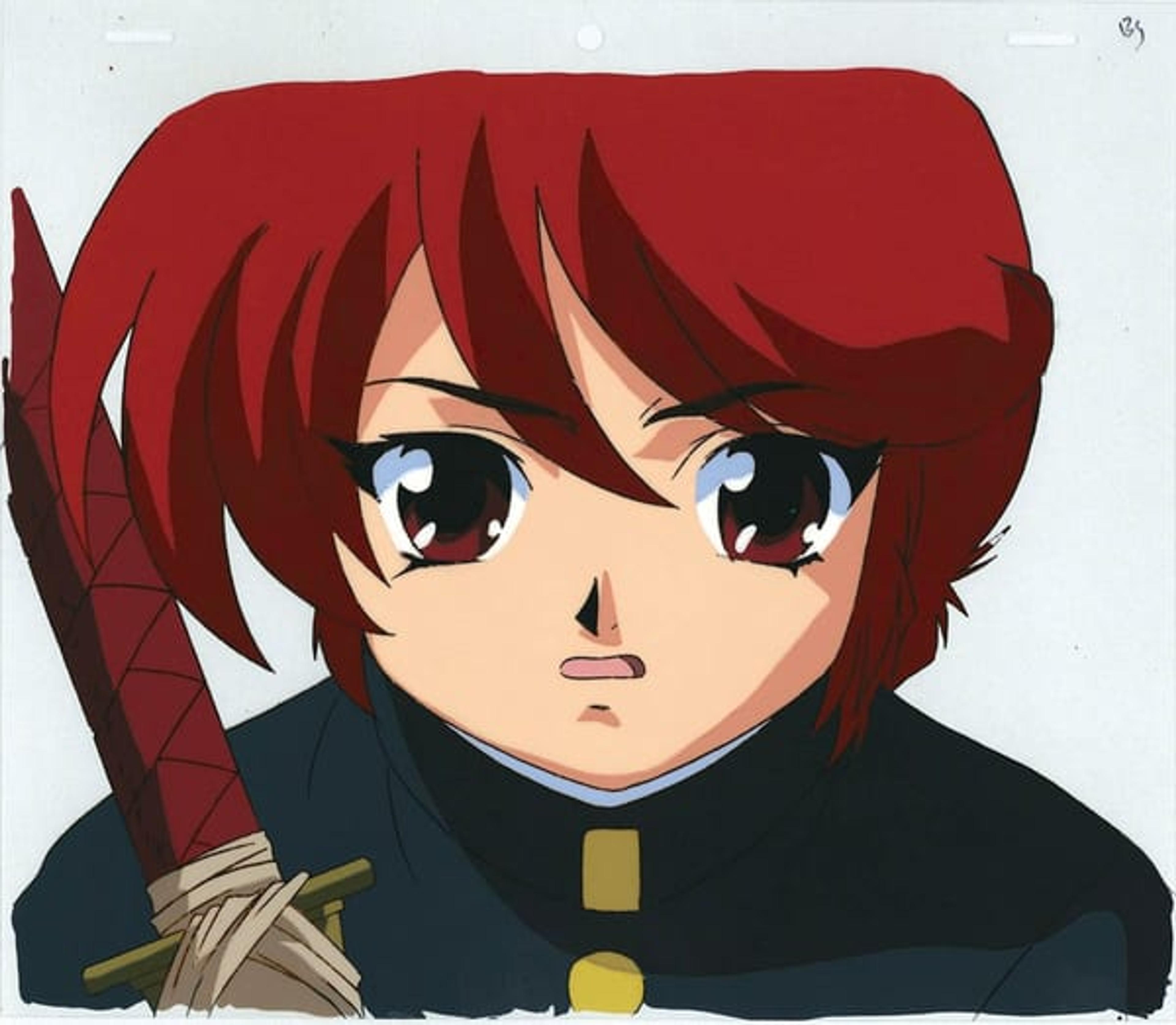 Shin Hakkenden