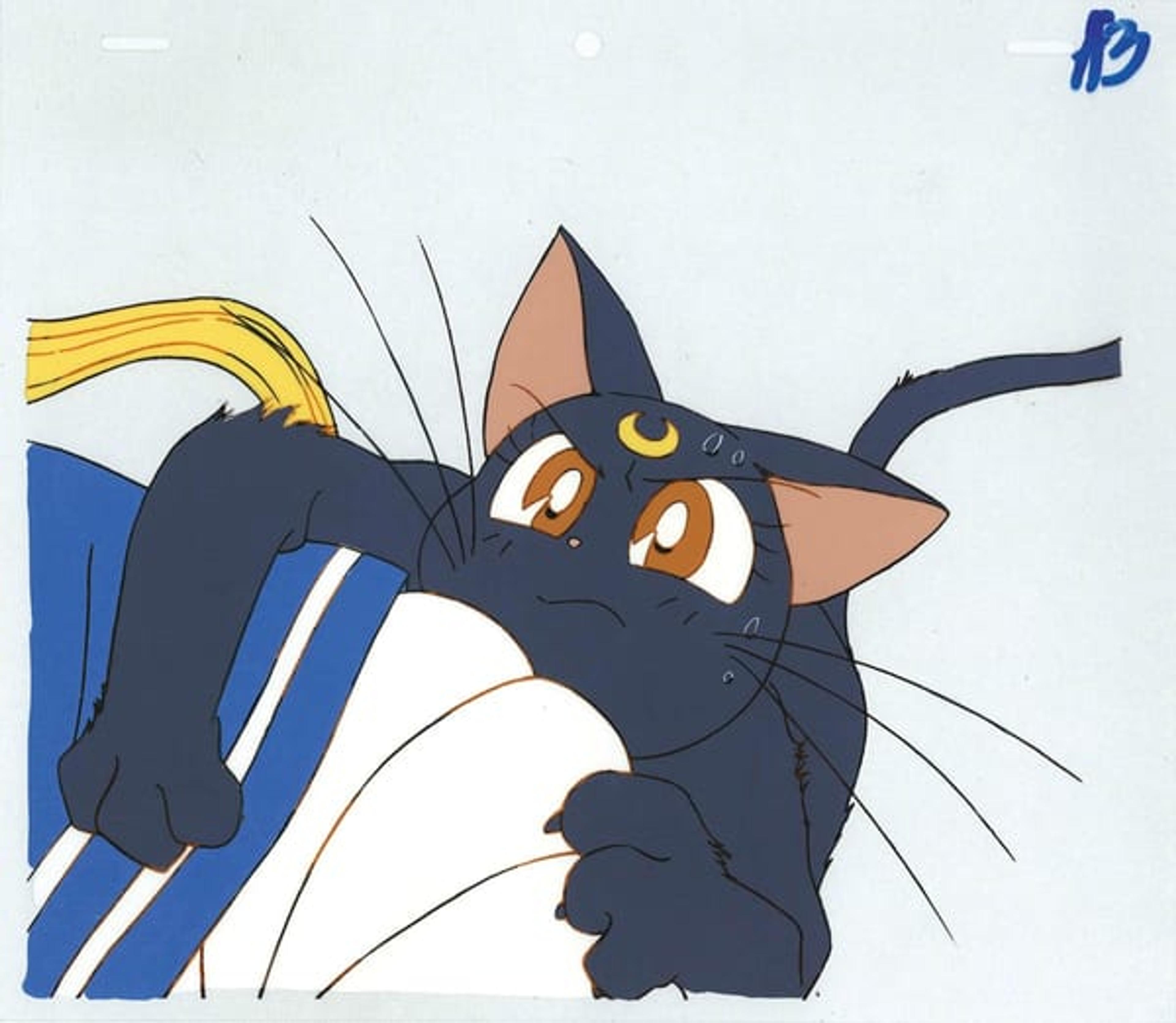 Sailor Moon