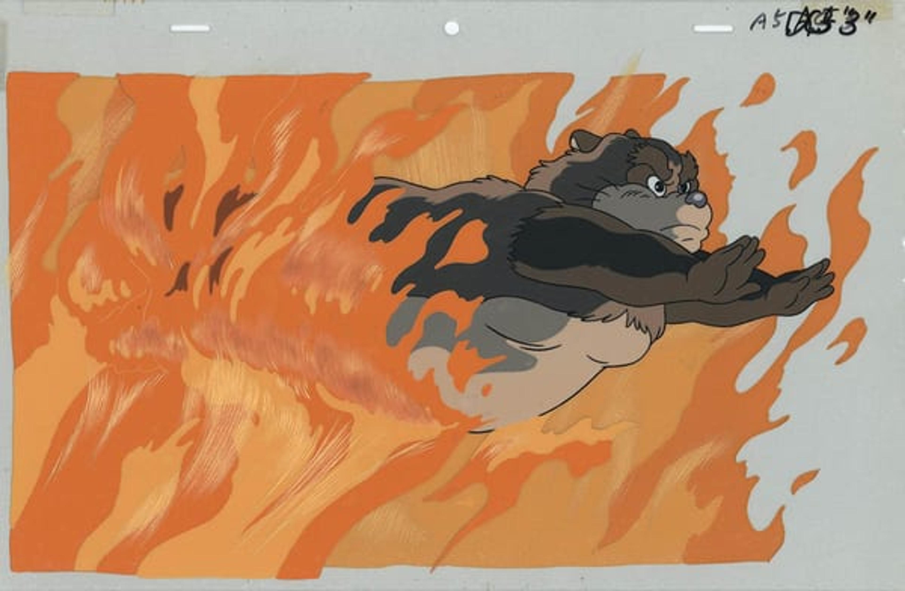 Pom Poko