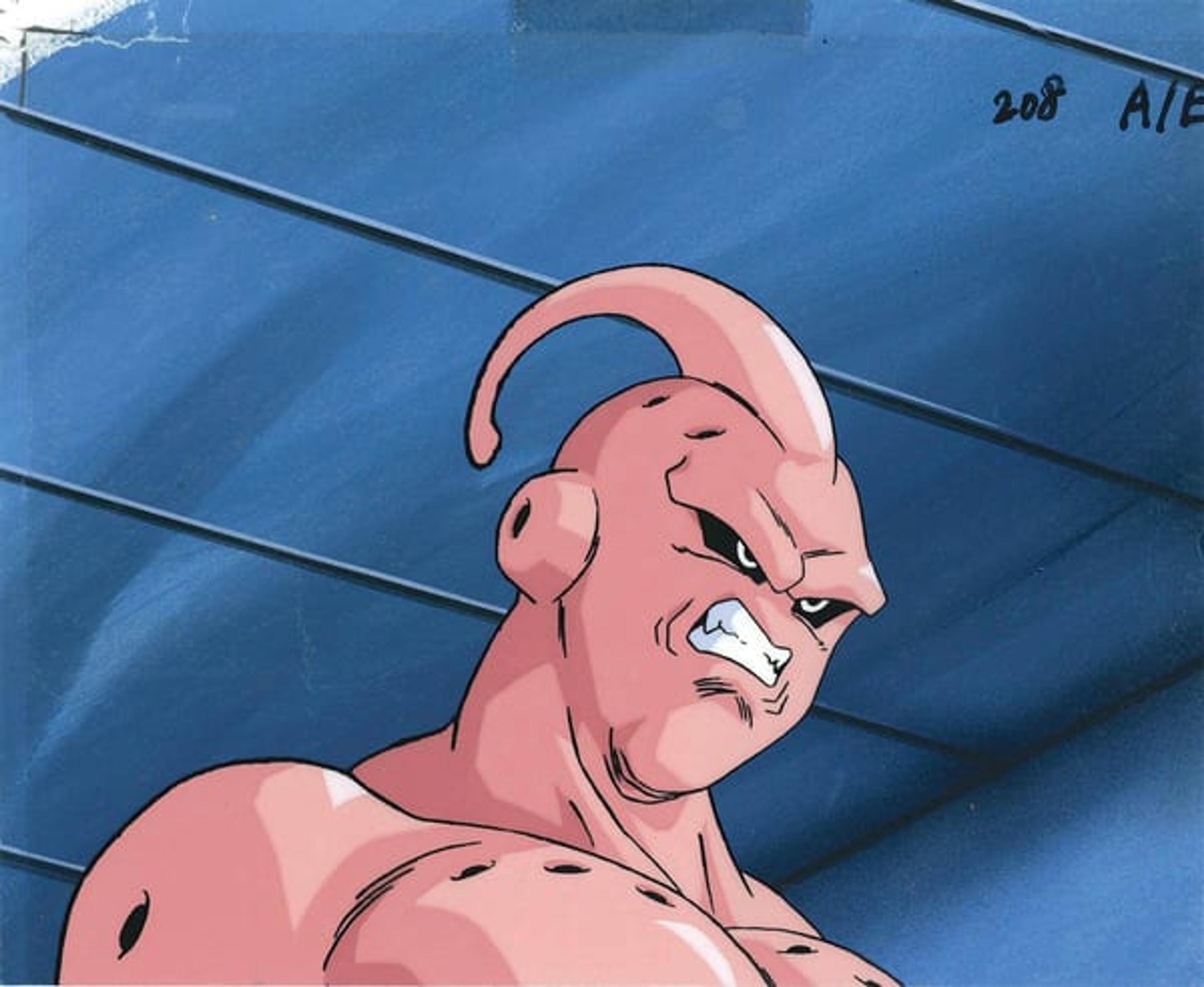 Dragon Ball Z
