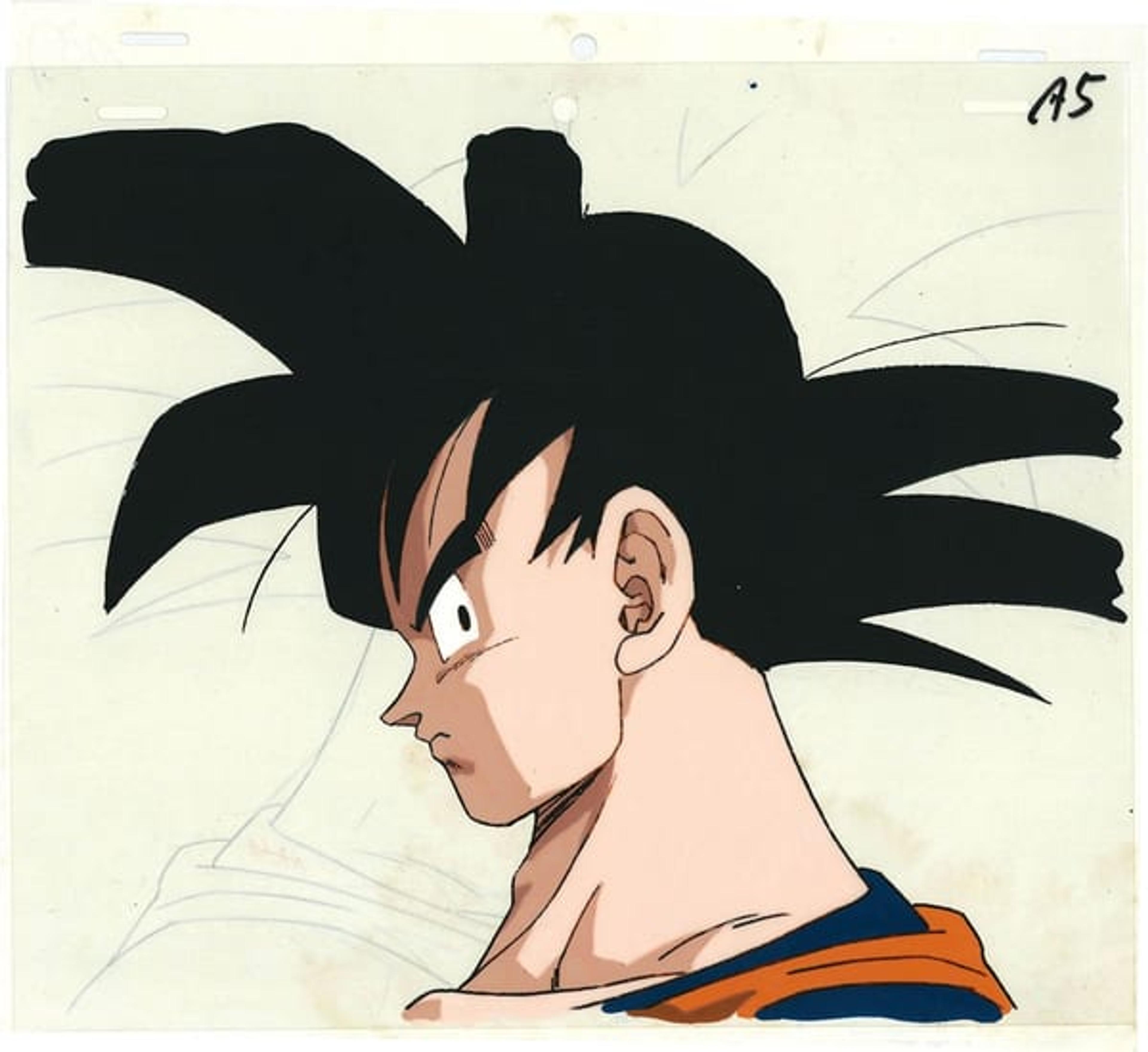 A5
