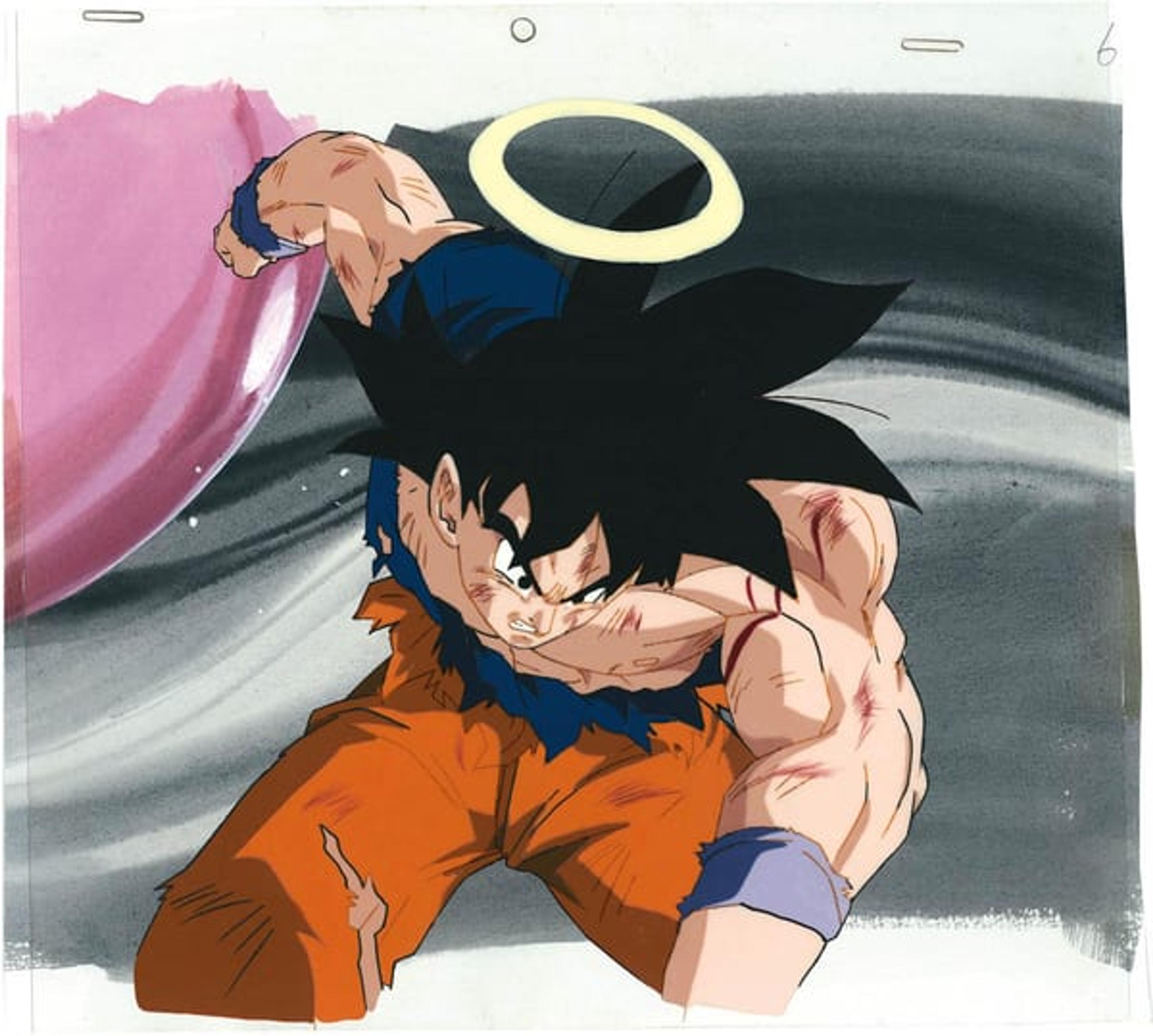 Dragon Ball Z: Fusion Reborn