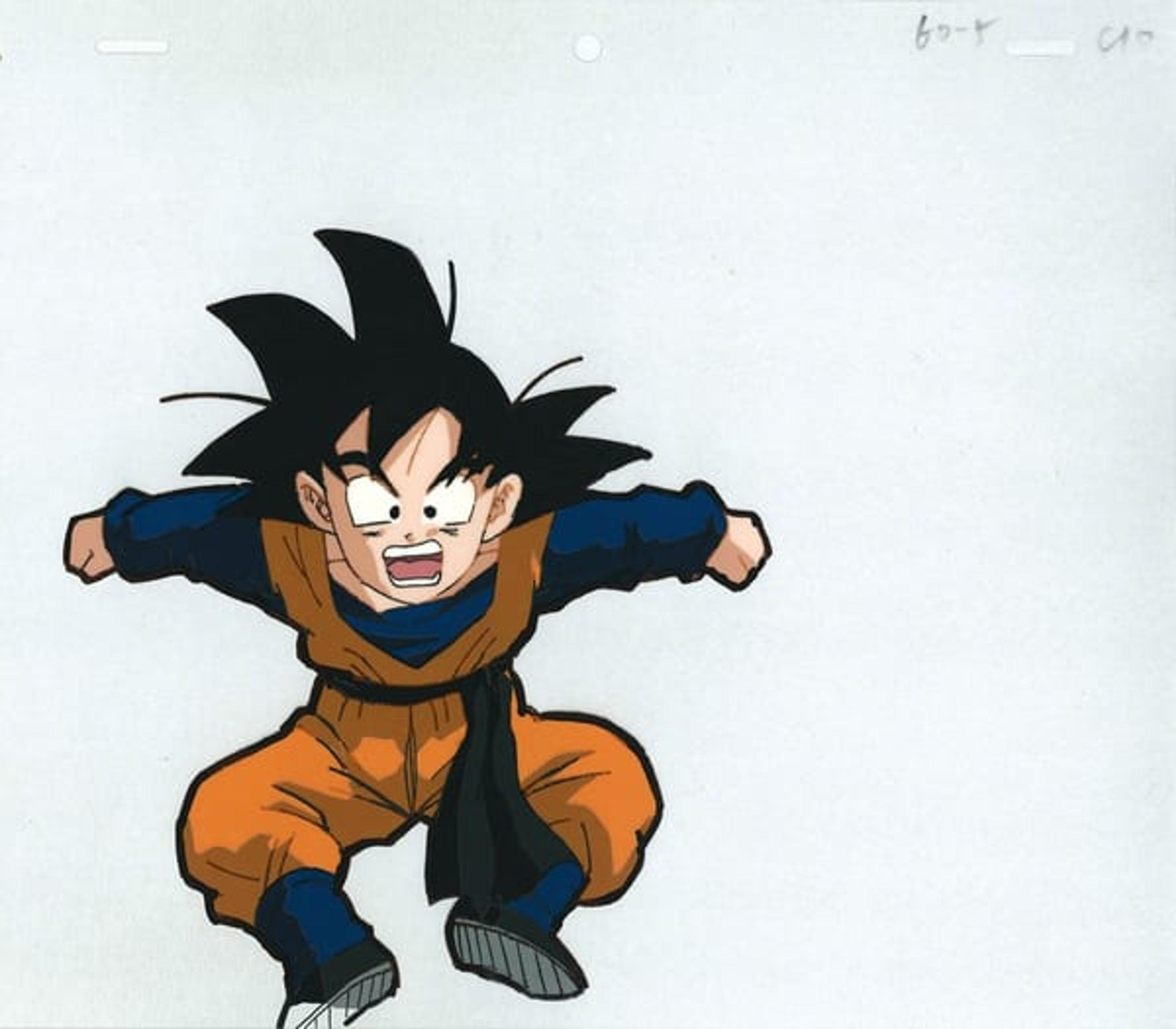 Dragon Ball Z: Fusion Reborn