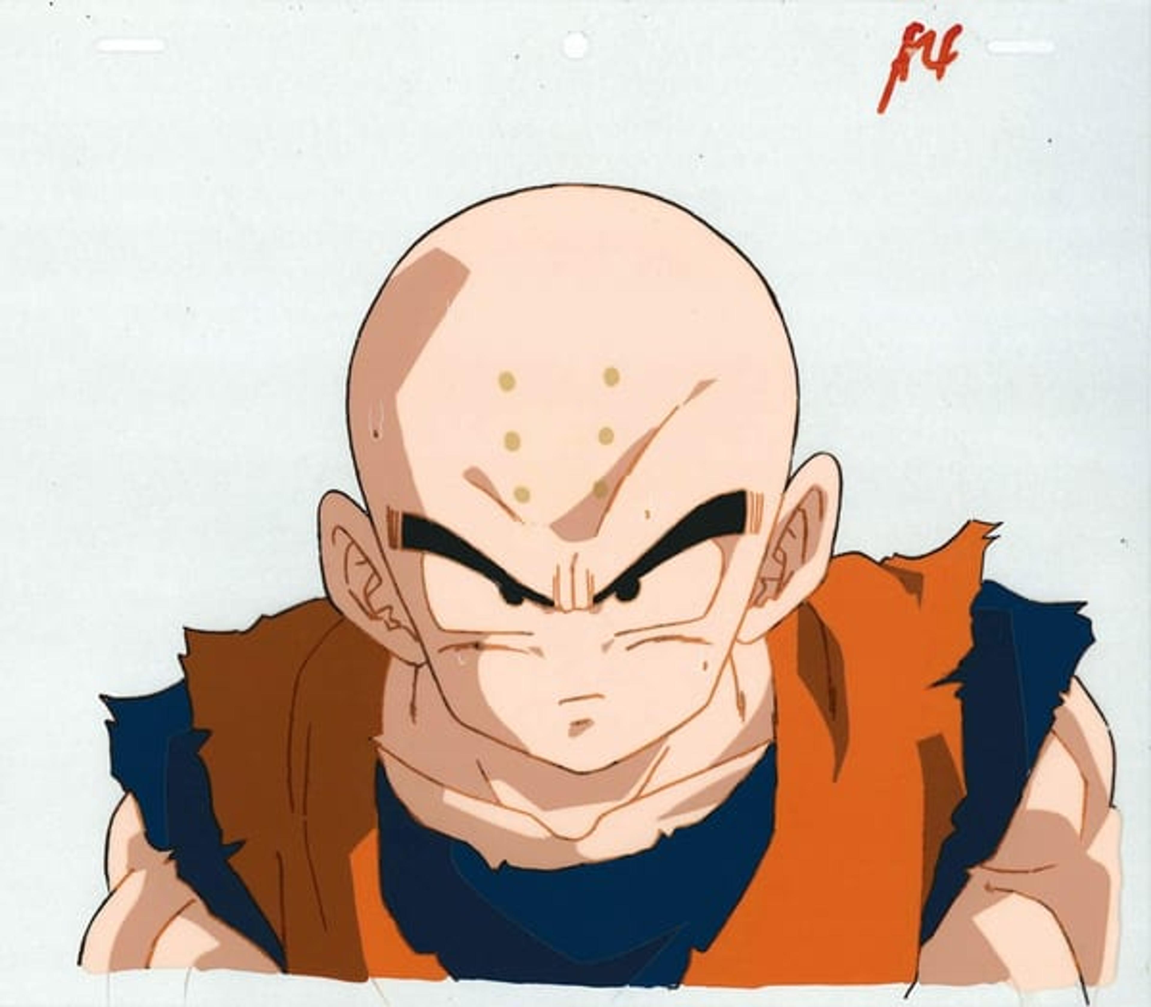 Dragon Ball Z