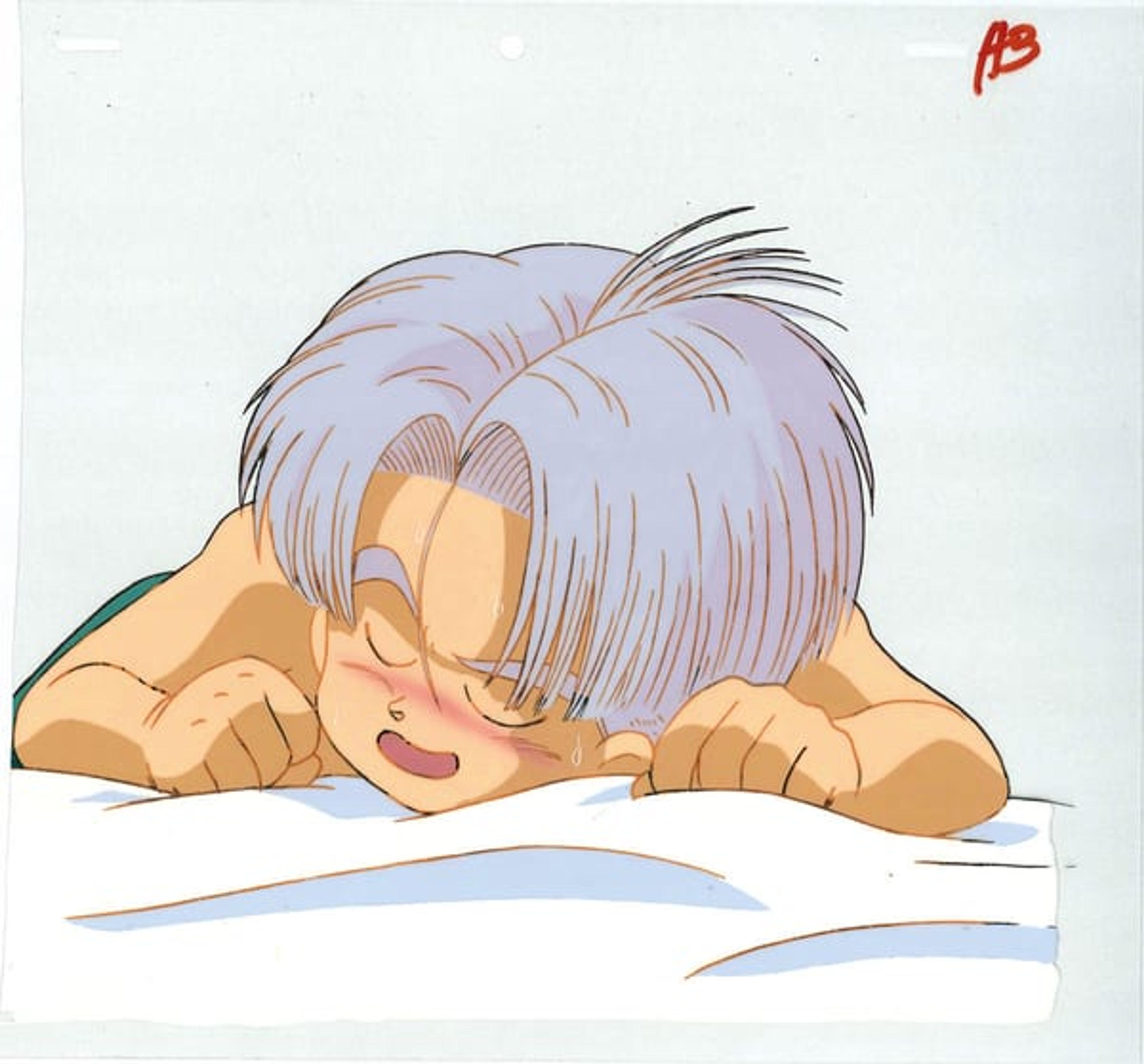 Dragon Ball Z