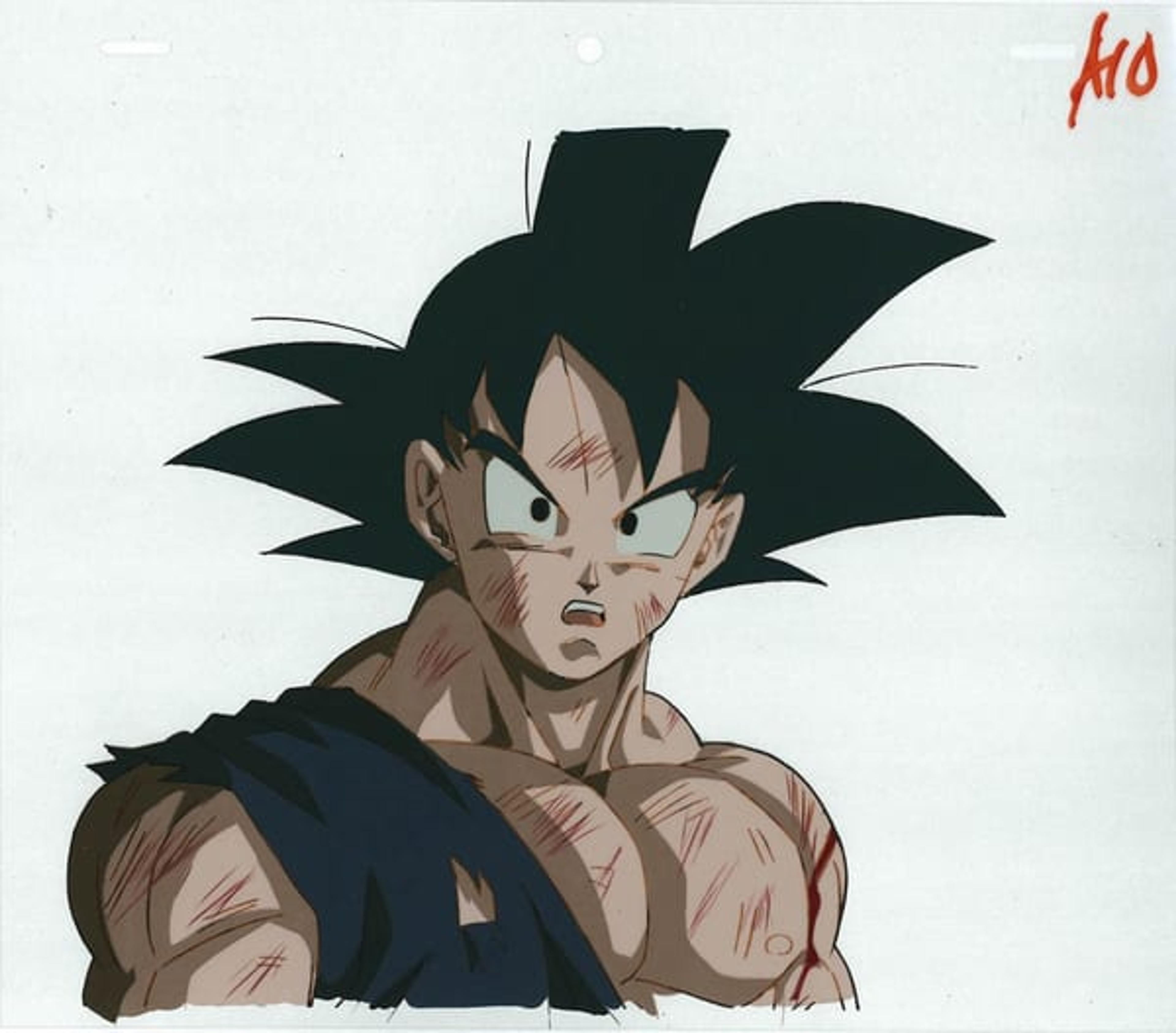 Dragon Ball Z: Fusion Reborn