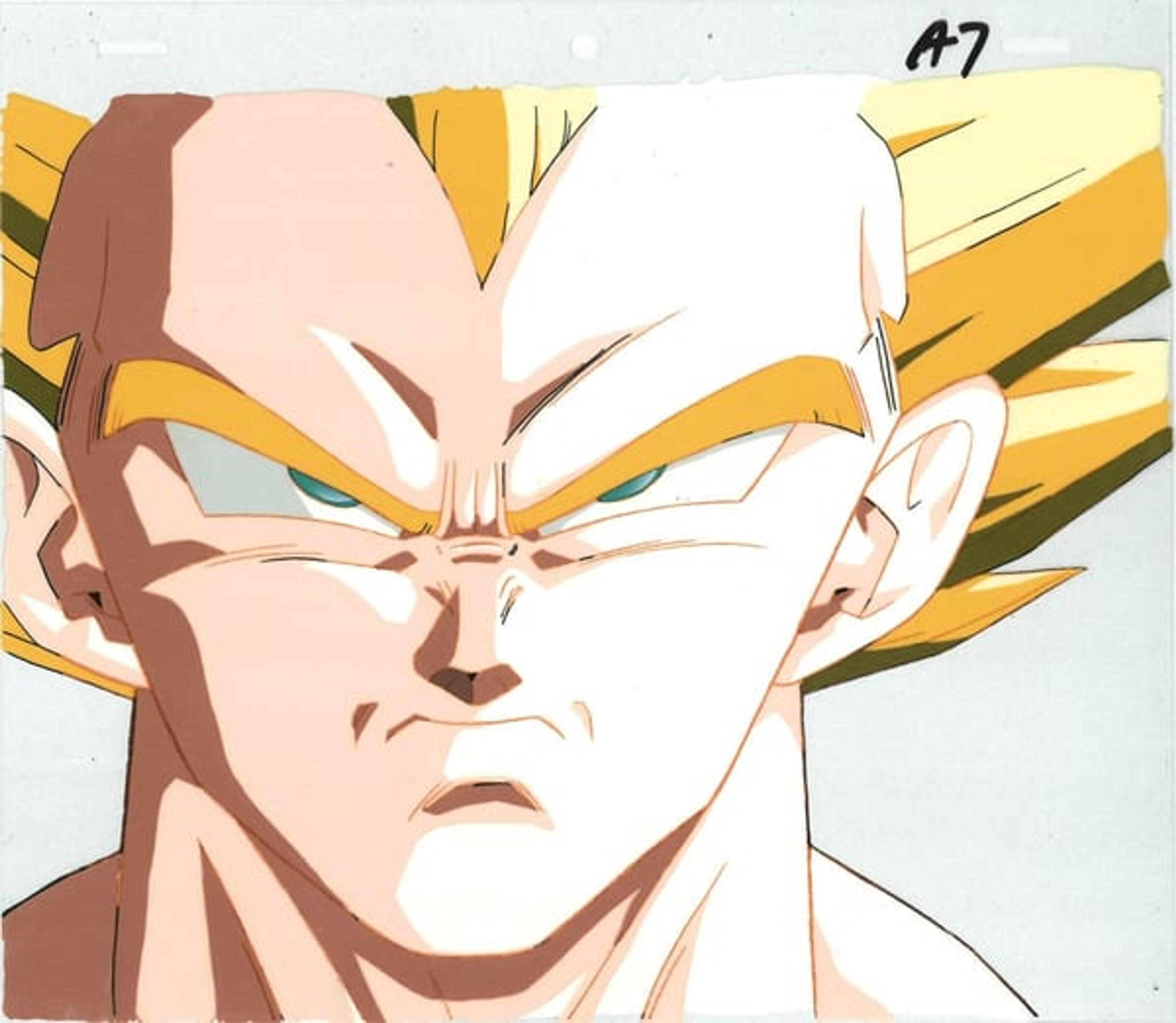 Dragon Ball Z: Fusion Reborn