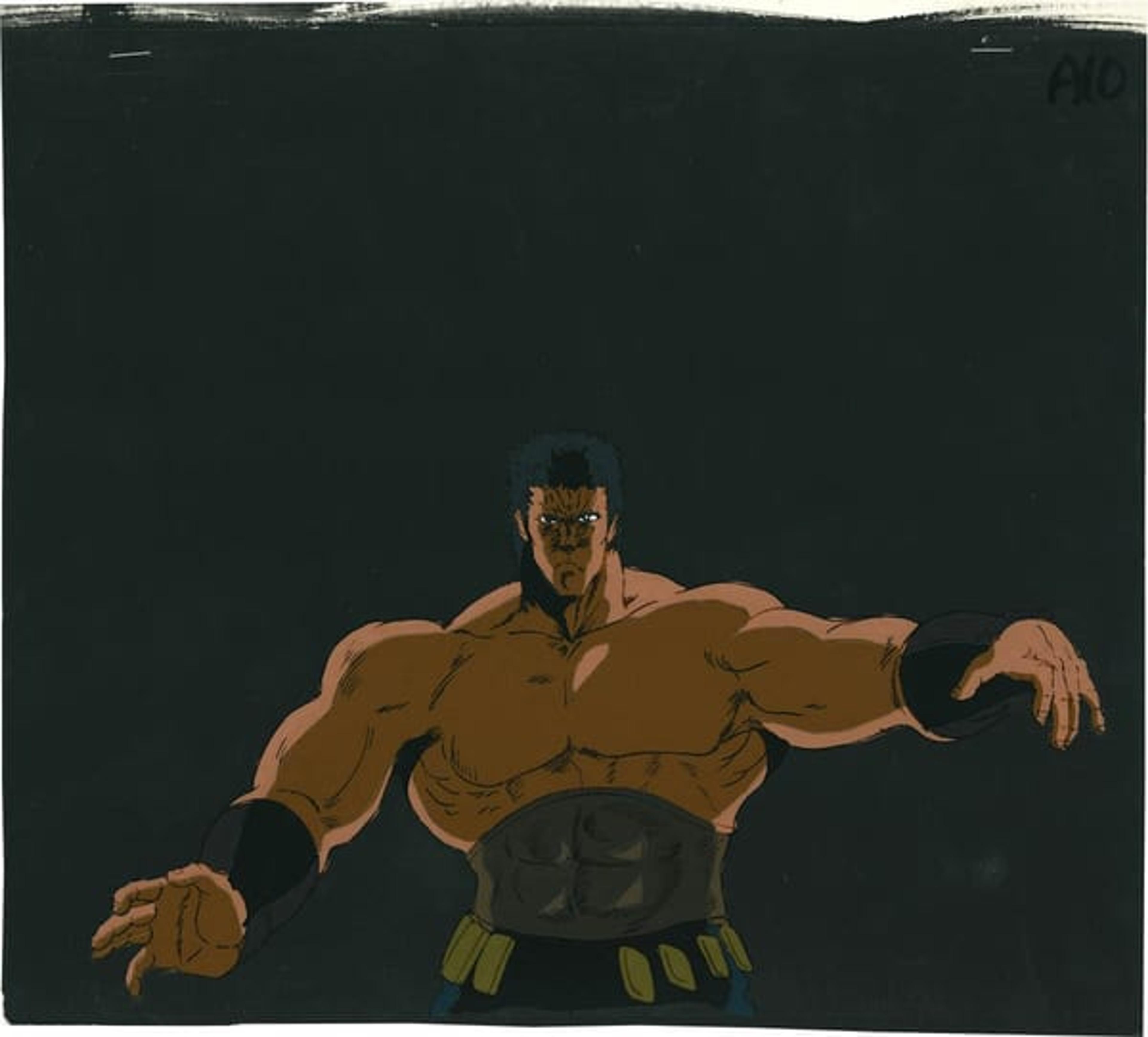 Fist of the North Star