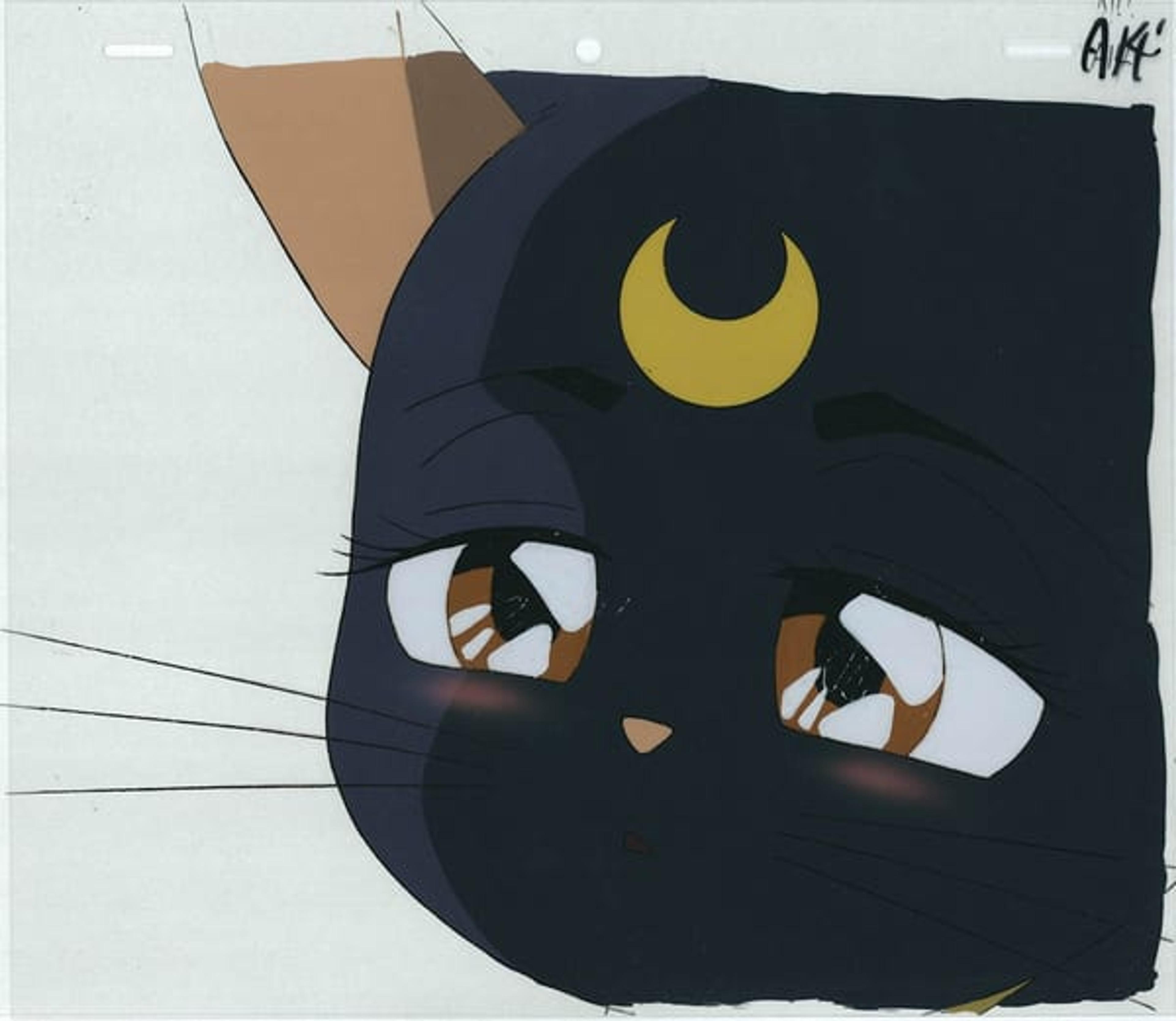 Sailor Moon