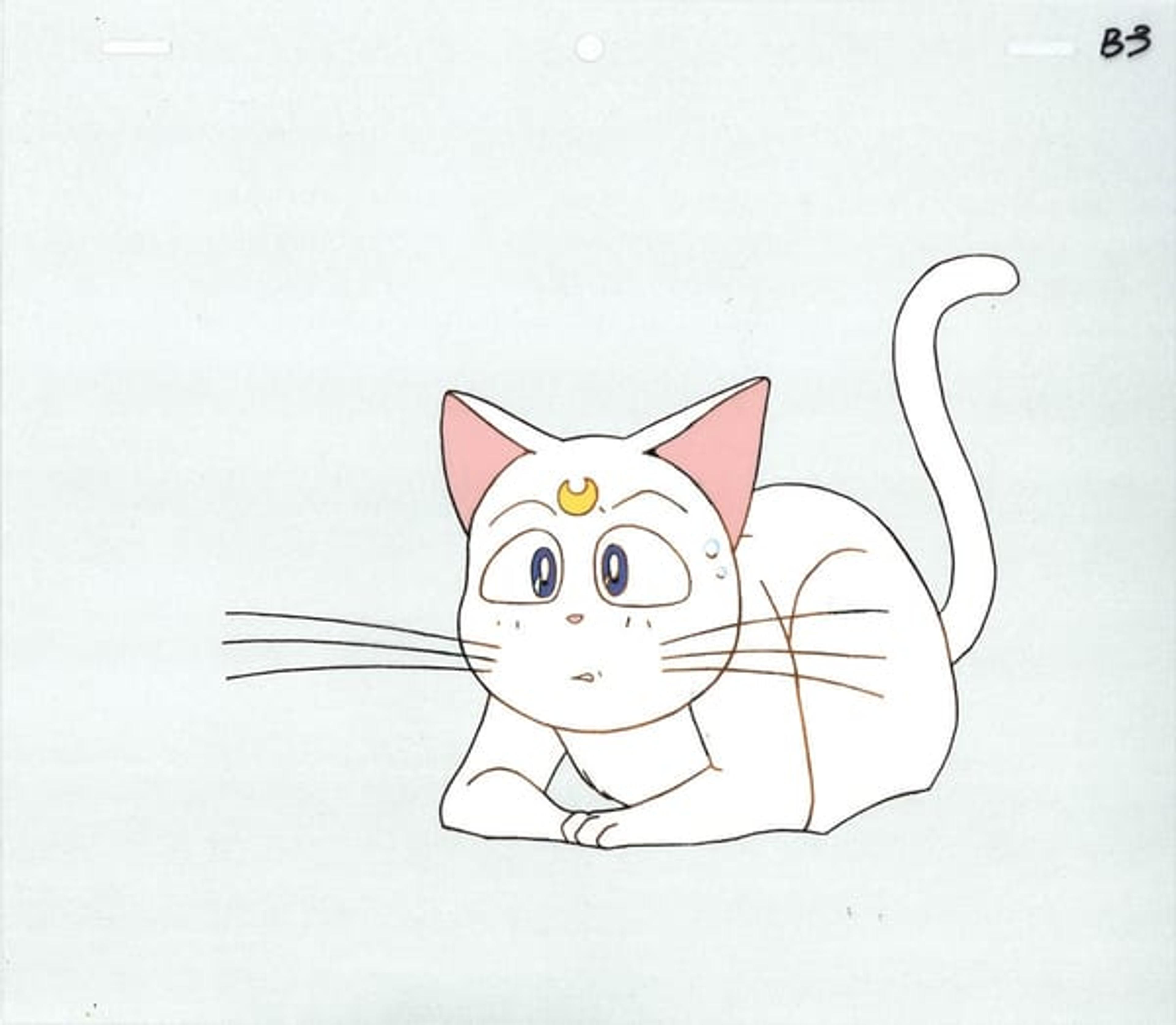 Sailor Moon