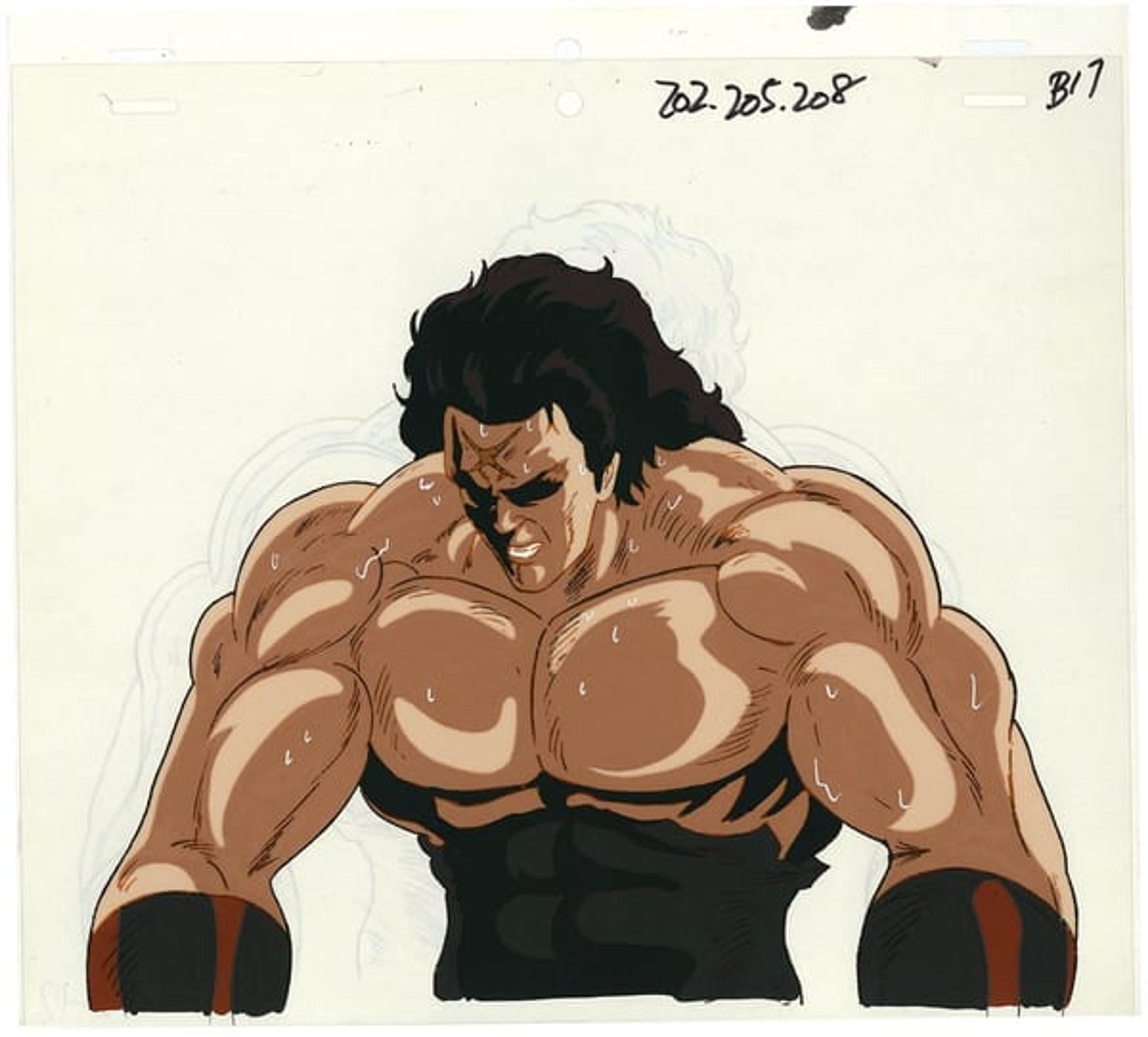 Fist of the North Star