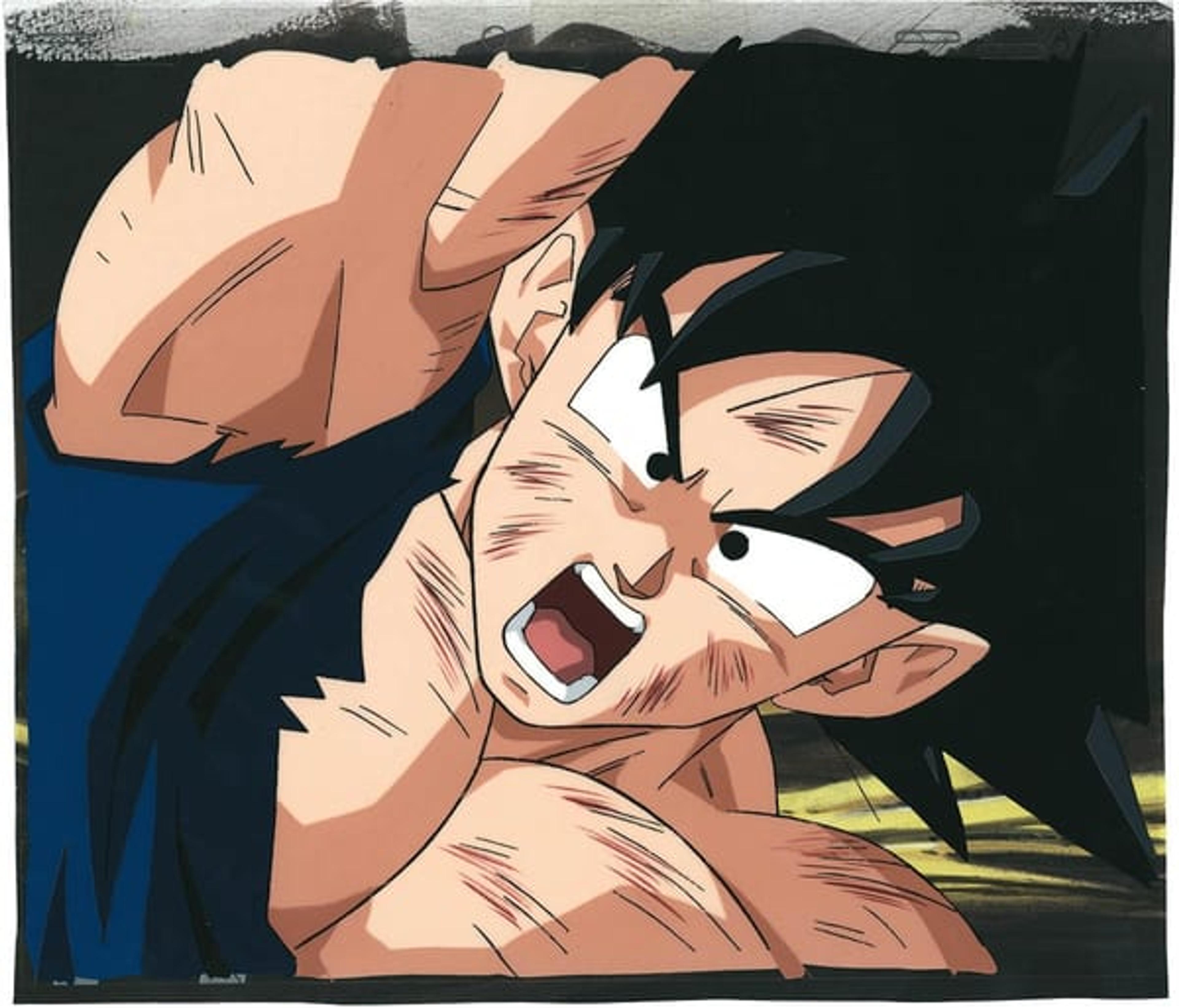 Dragon Ball Z: Fusion Reborn