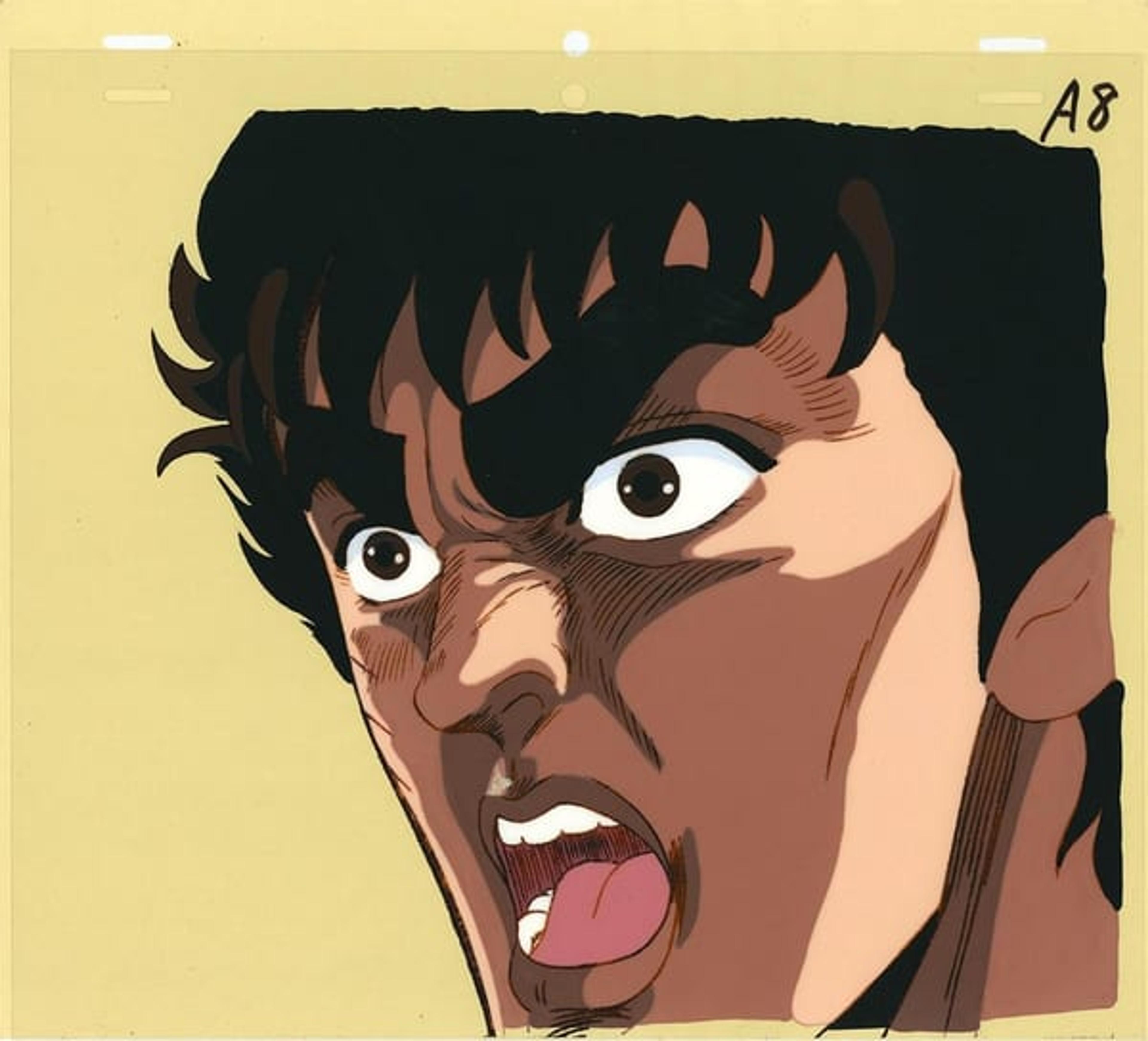 Fist of the North Star