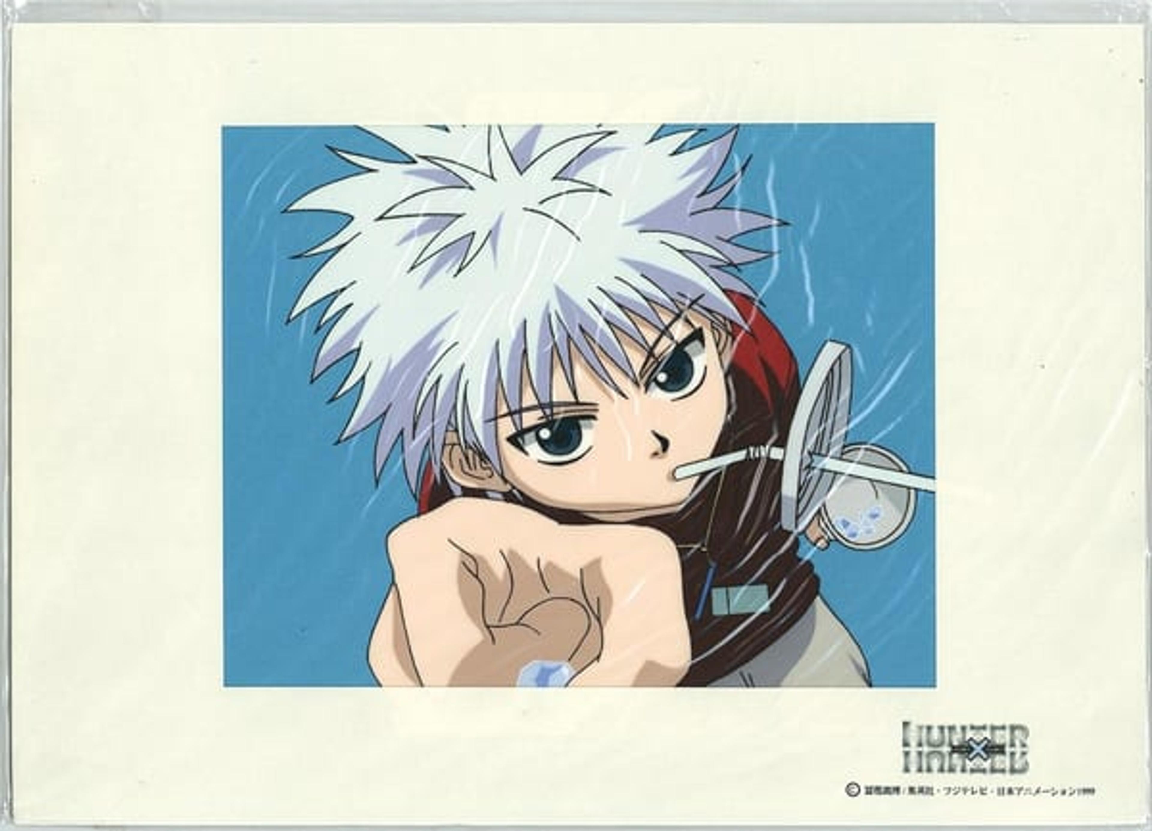 Hunter x Hunter