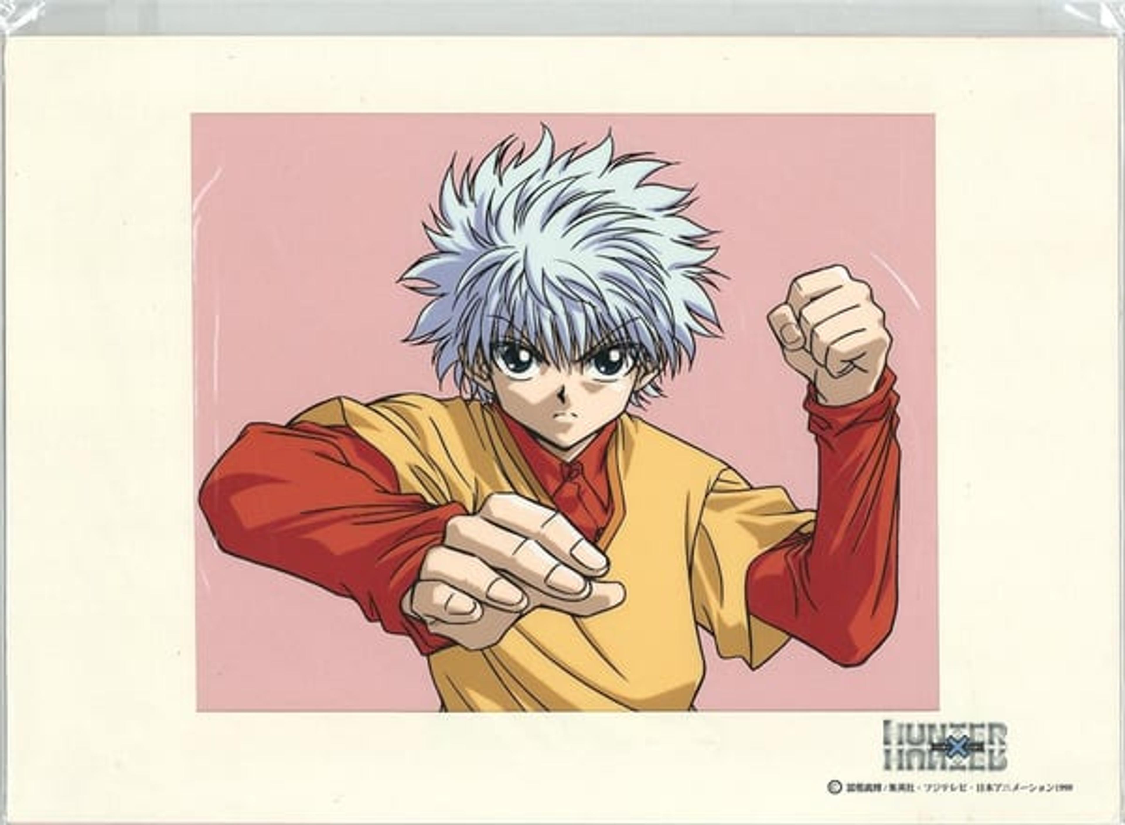 Hunter x Hunter