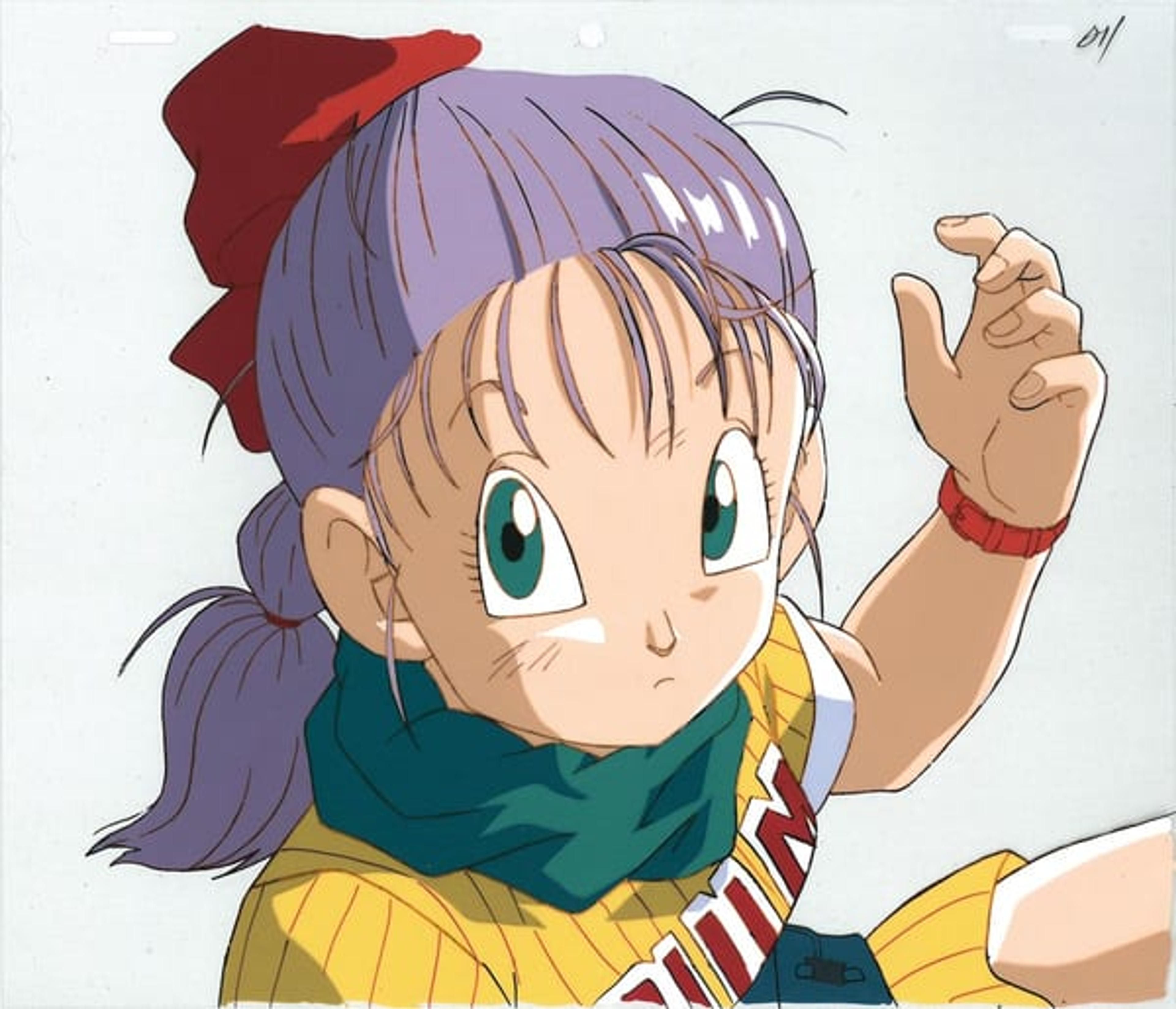 Dragon Ball: The Path to Power