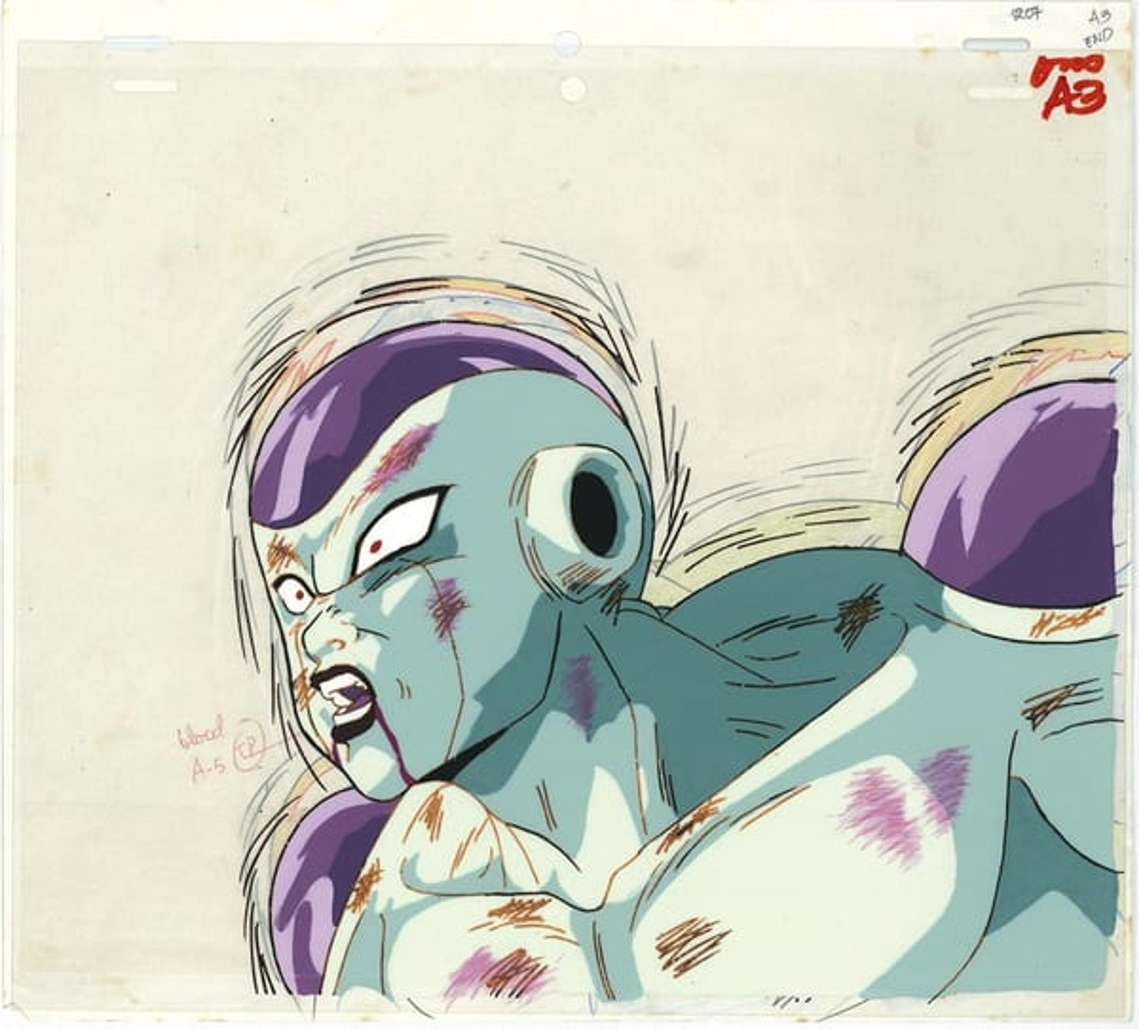 Dragon Ball Z