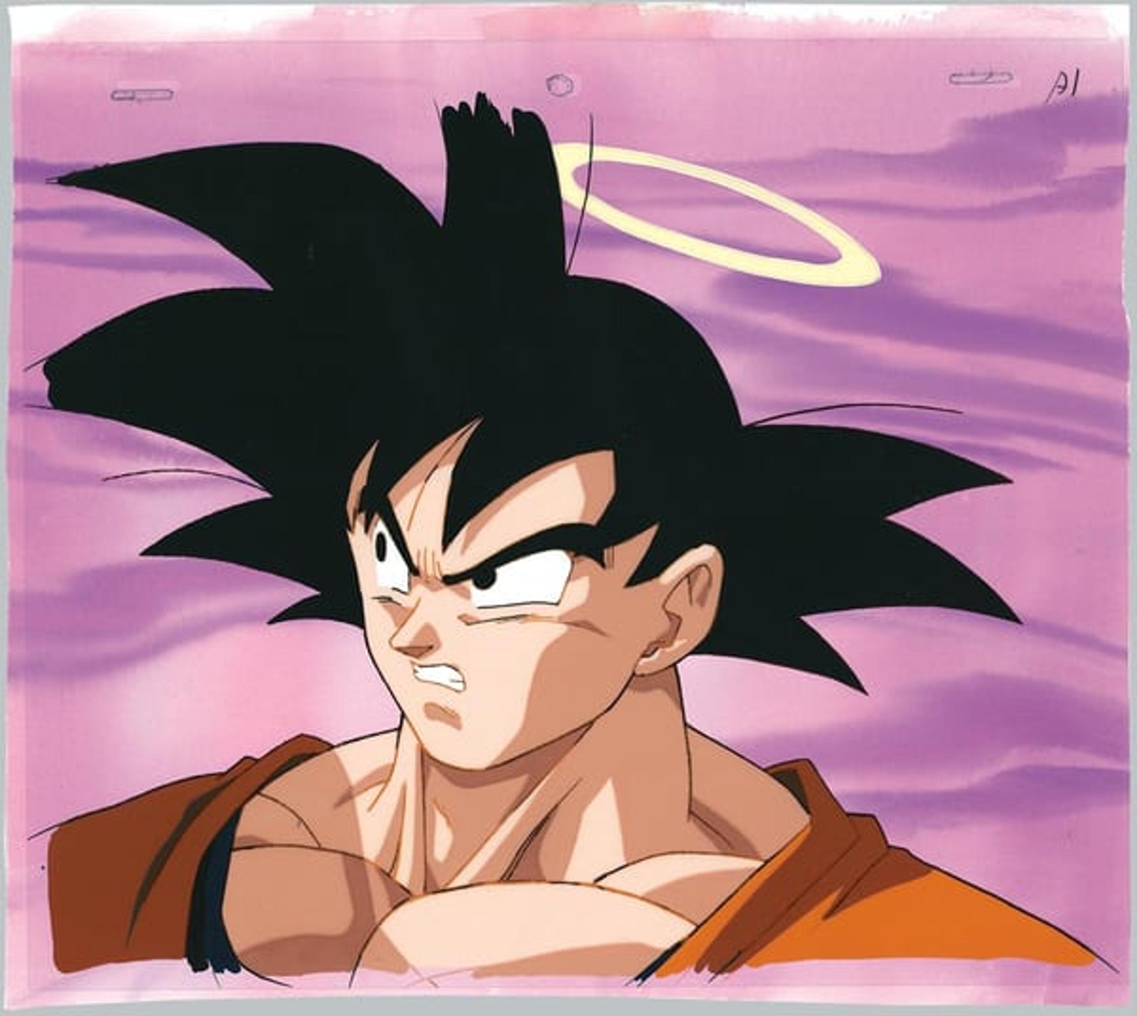 Dragon Ball Z: Fusion Reborn