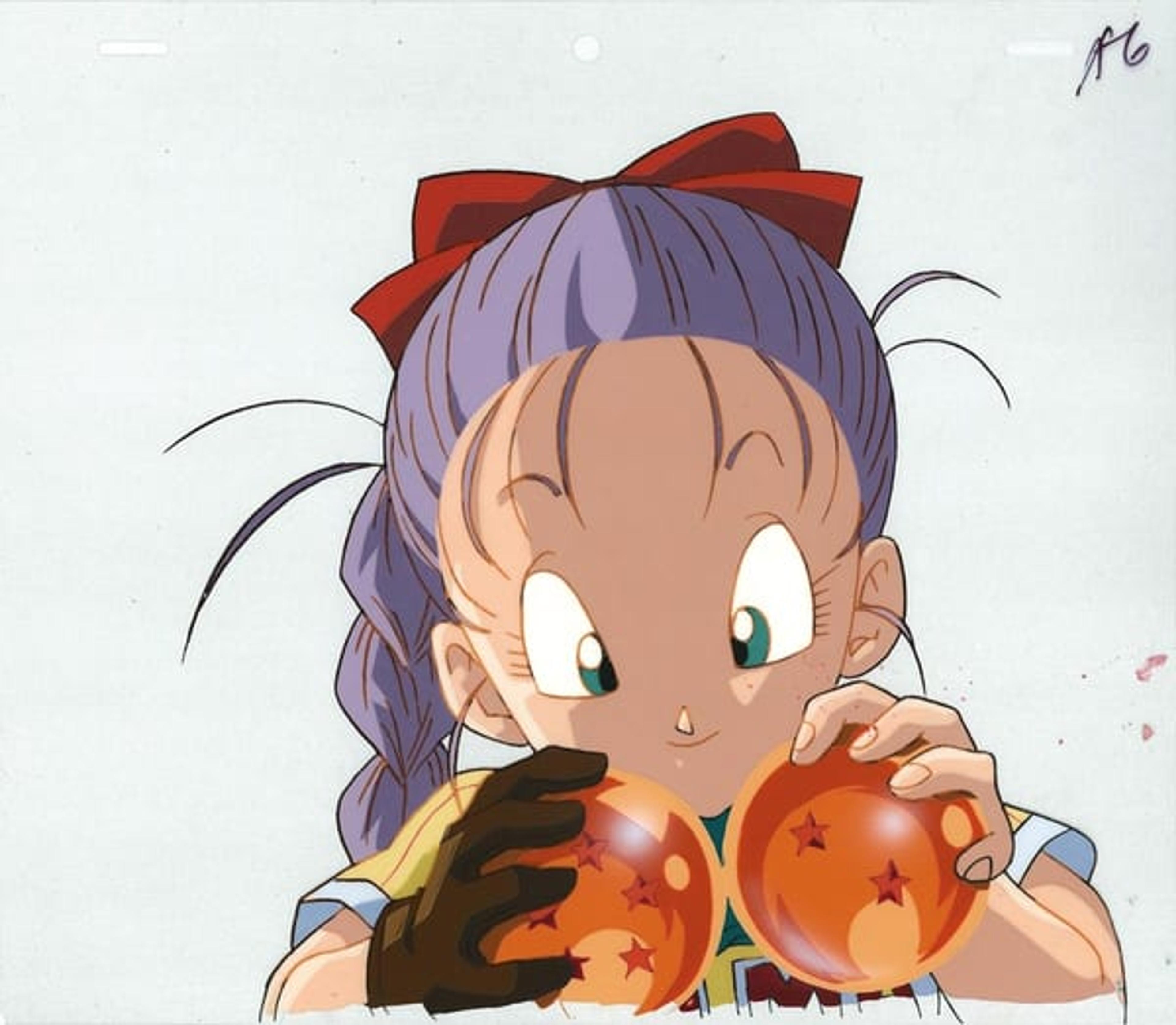 Dragon Ball: The Path to Power
