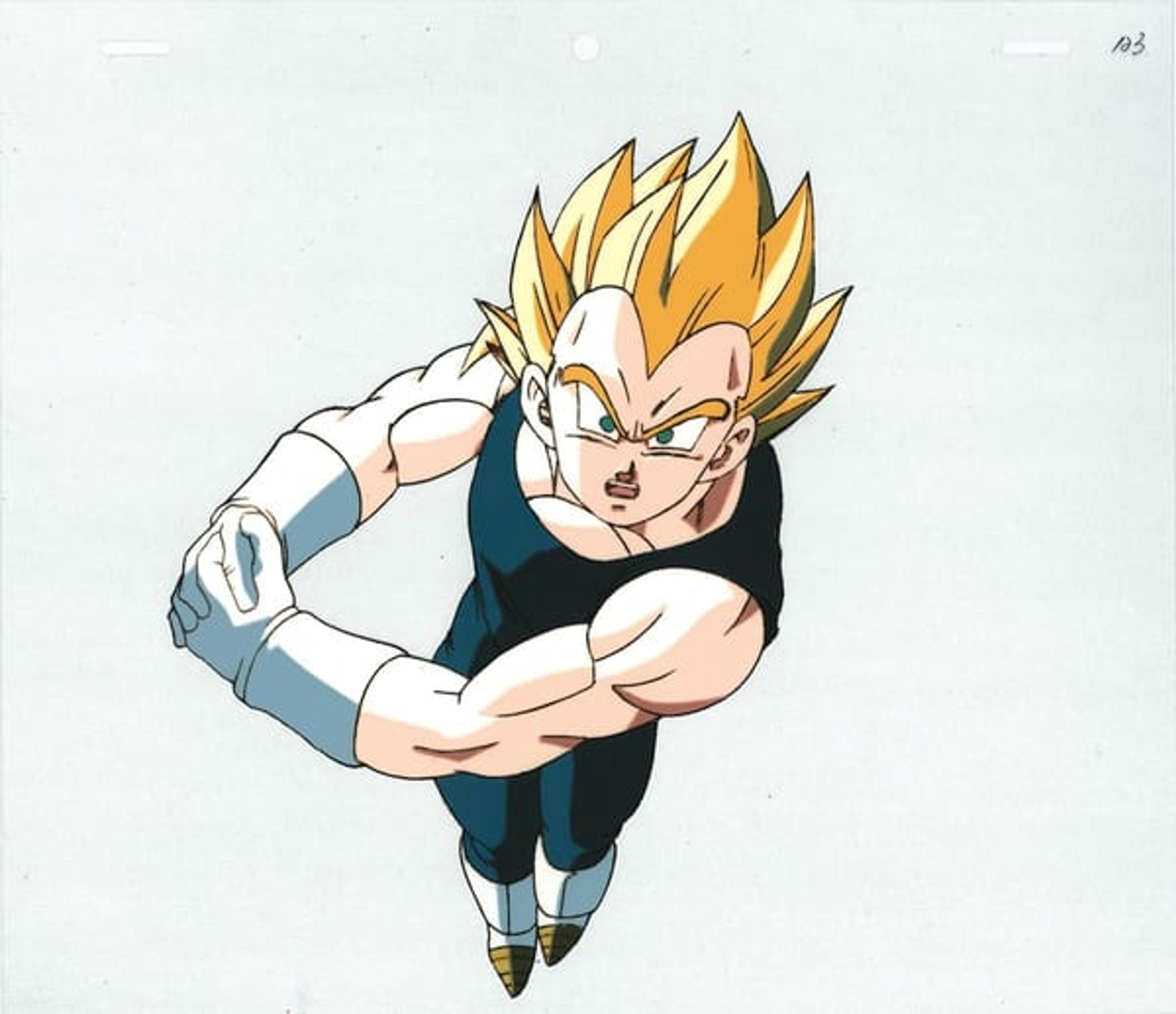 Dragon Ball Z: Fusion Reborn