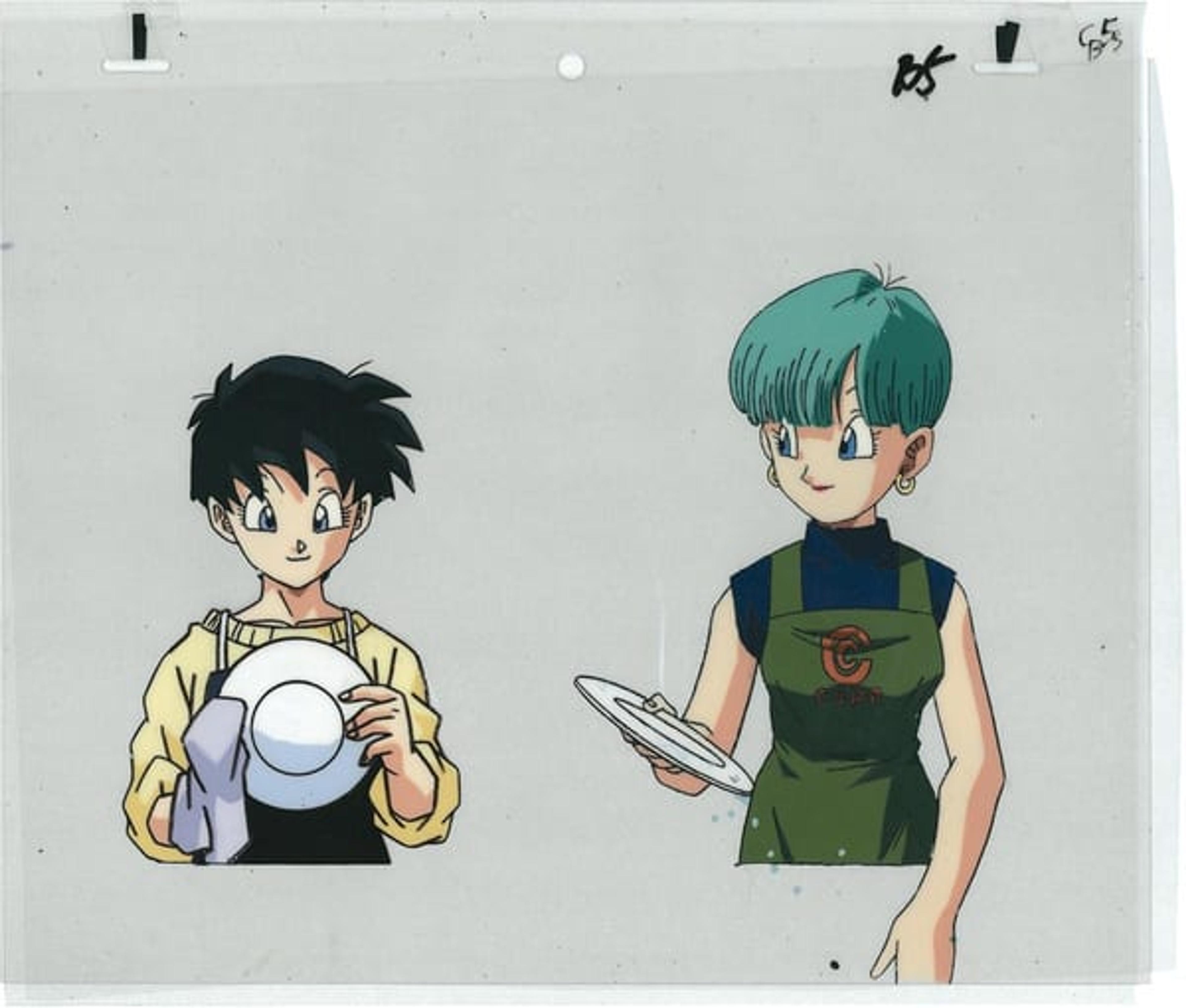 Dragon Ball Z: Wrath of the Dragon